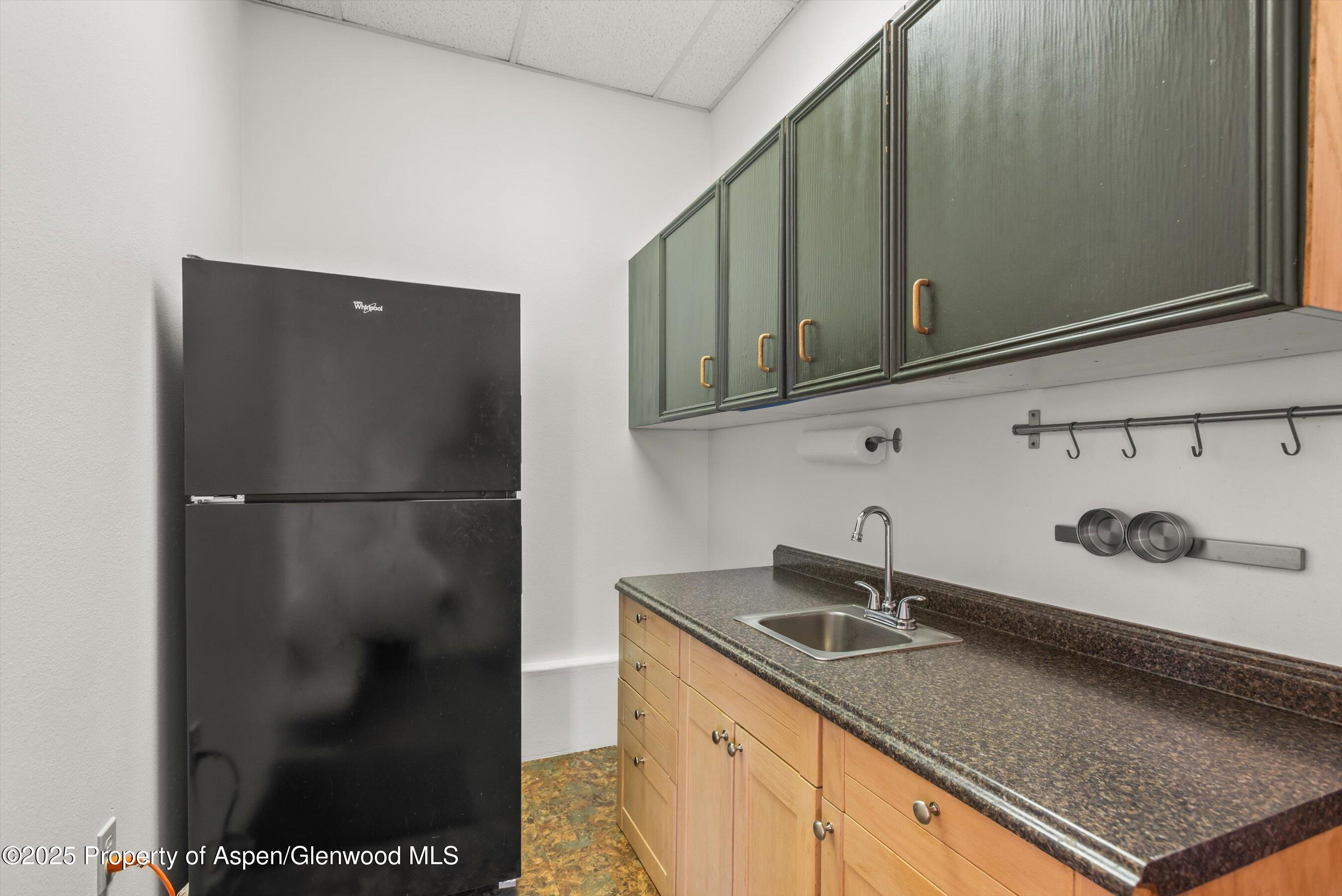 207 Basalt Center Circle, Unit 104 Property Photo 12
