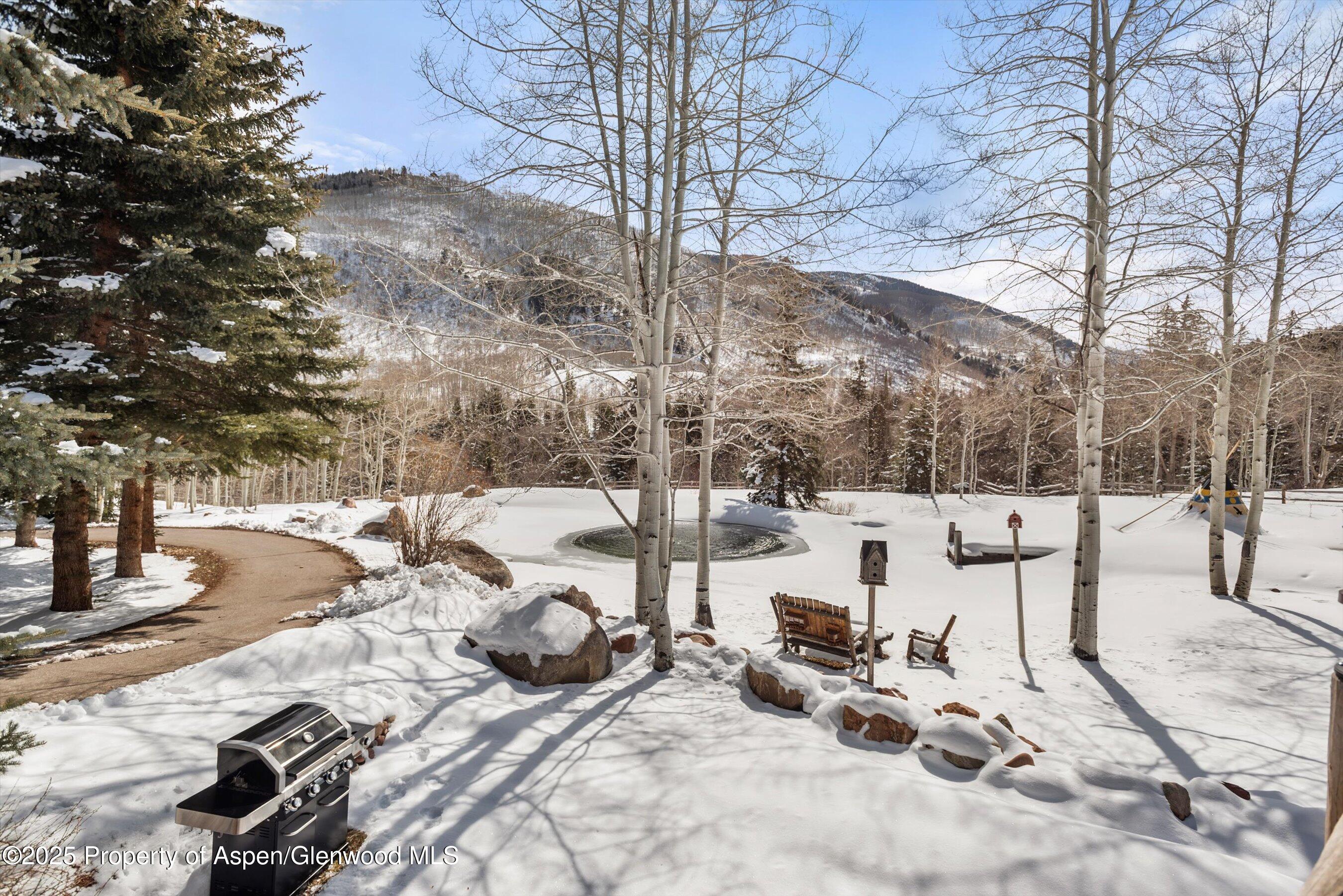 303 Conundrum Creek Road Property Photo 34