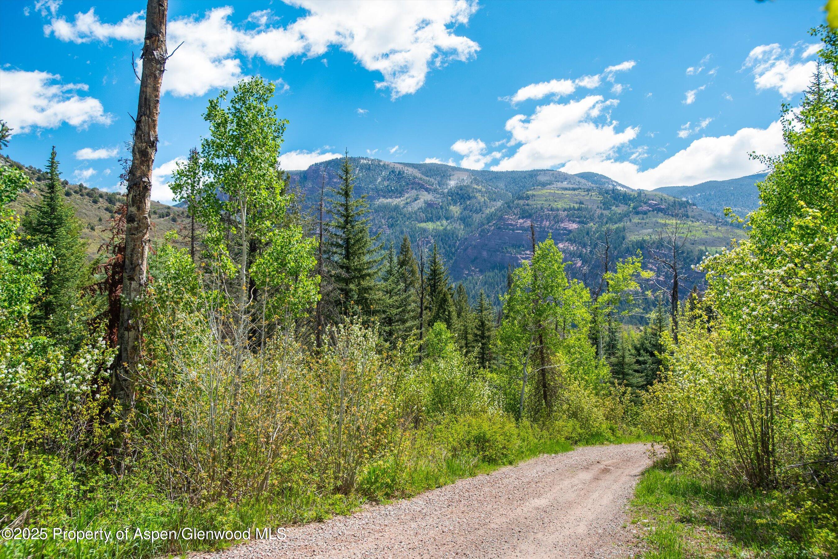Tbd Coal Creek Road Property Photo 1