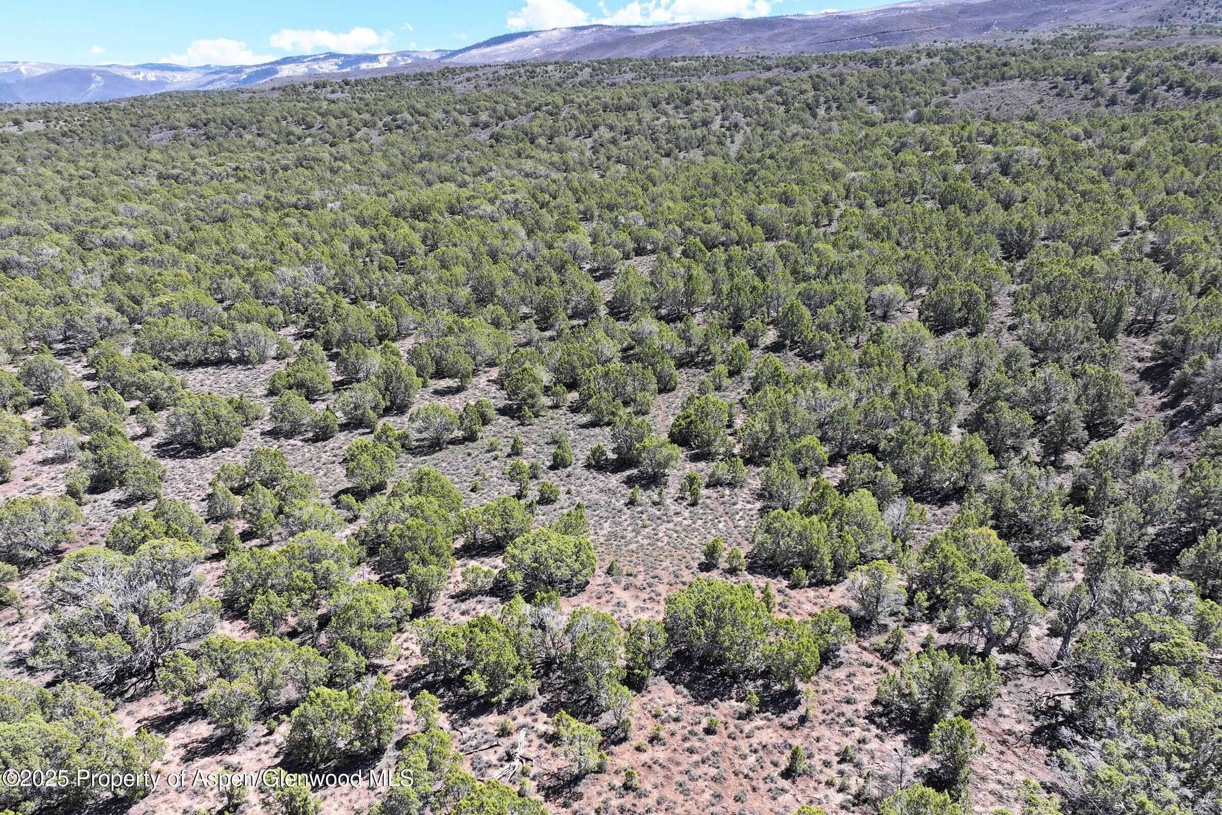 Tbd Tbd Property Photo 9