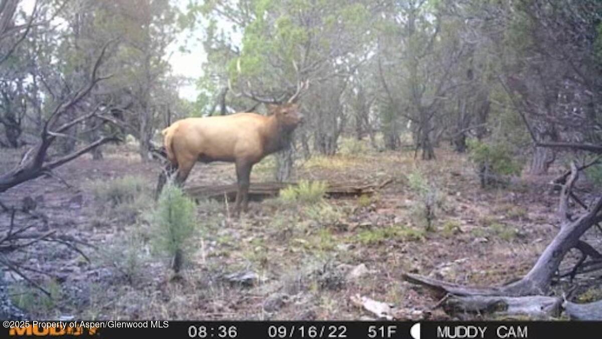 Tbd Tbd Property Photo 17