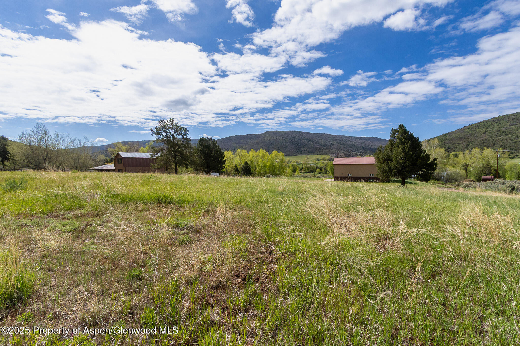 10278 County Road 8 Property Photo 41