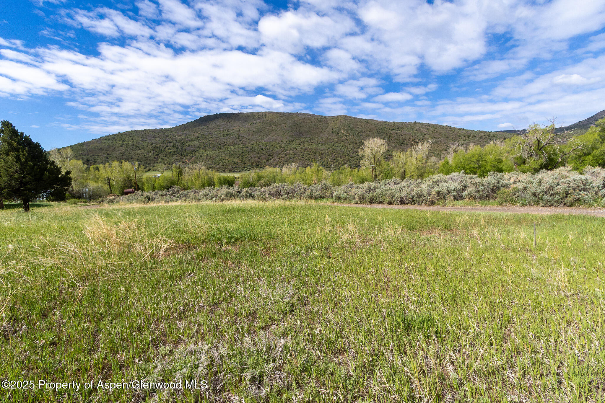 10278 County Road 8 Property Photo 42