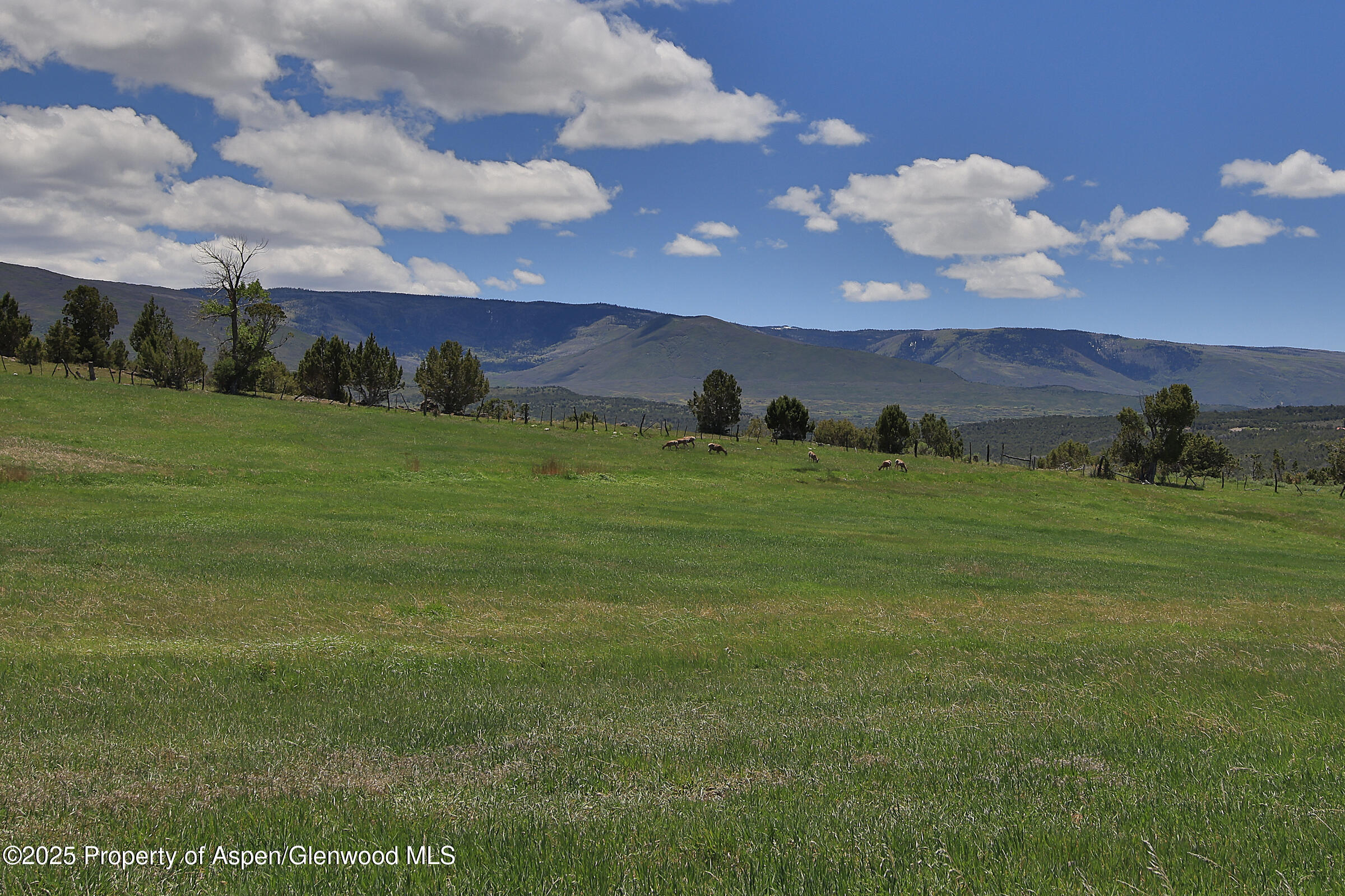 57191 Me Road Property Photo 41