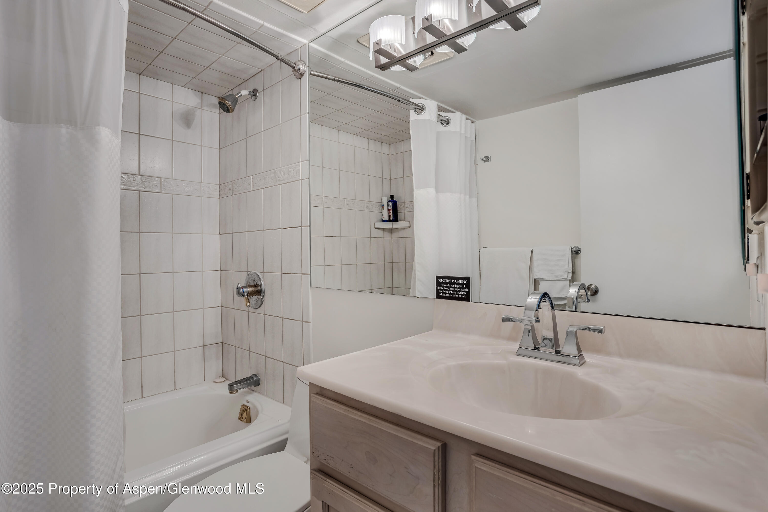 731 E Durant Avenue, Unit #3 Property Photo 12