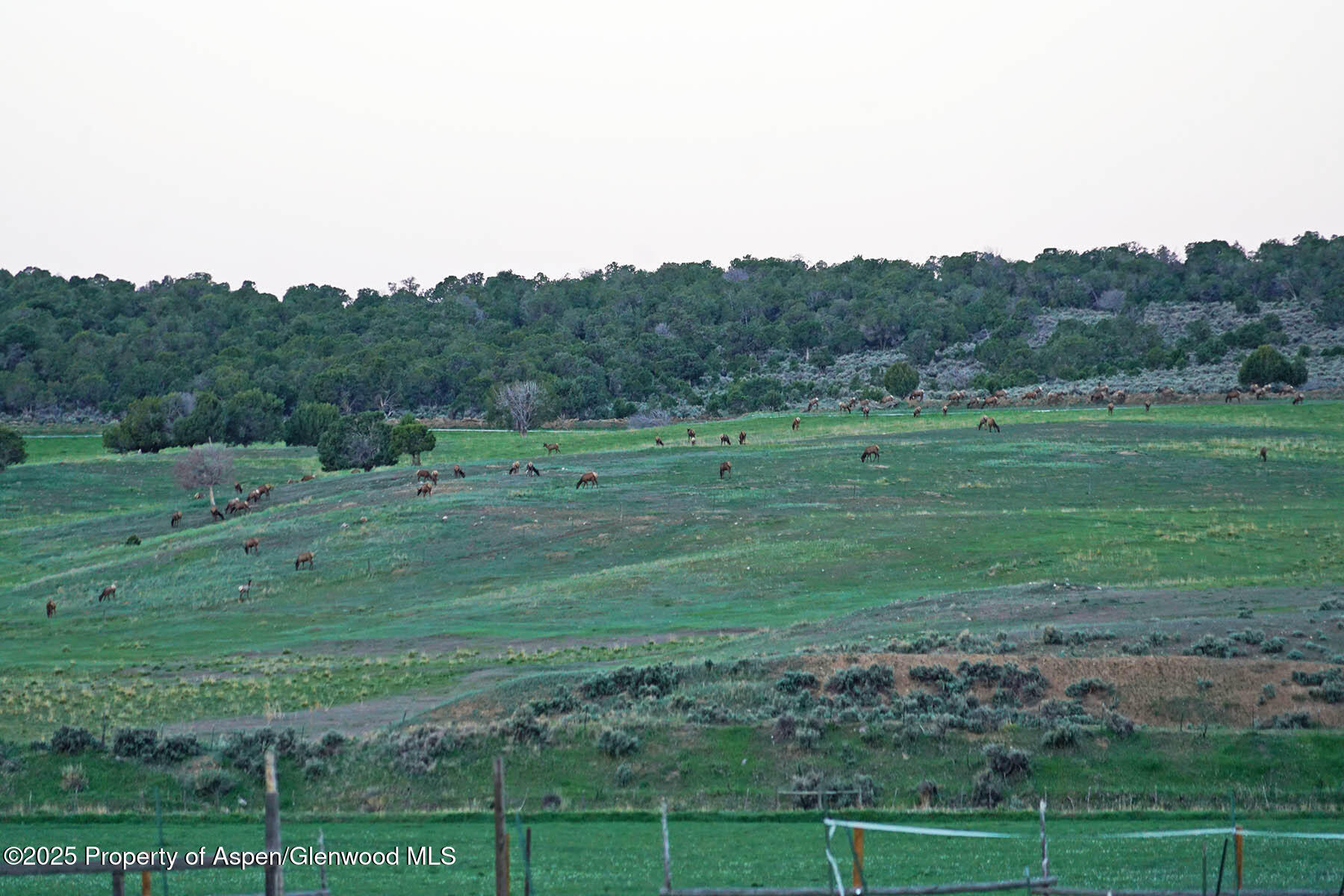 10676 Bostwick Road Property Photo 25