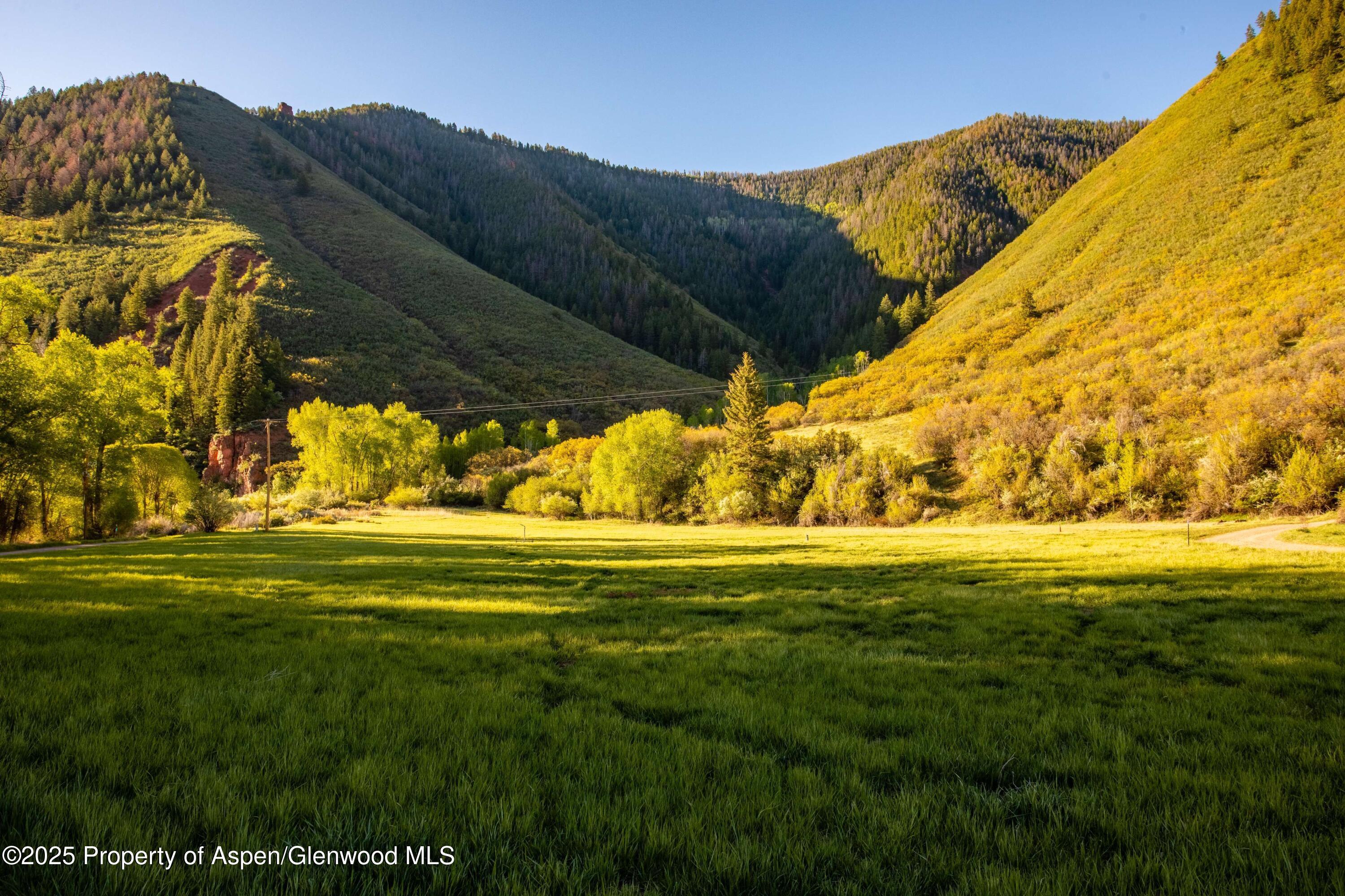 5548 Frying Pan Road Property Photo 41