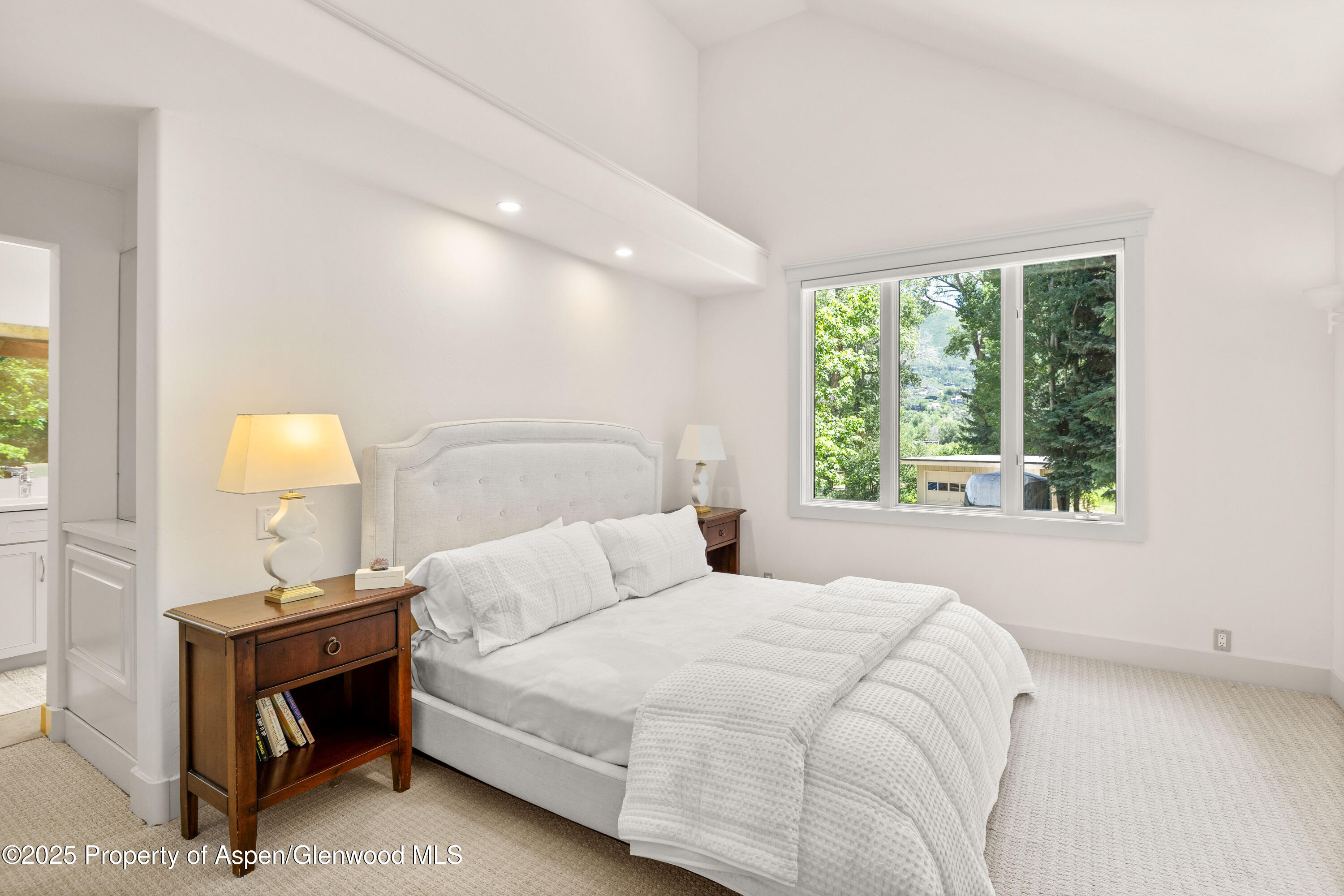 777 Castle Creek Drive Property Photo 12