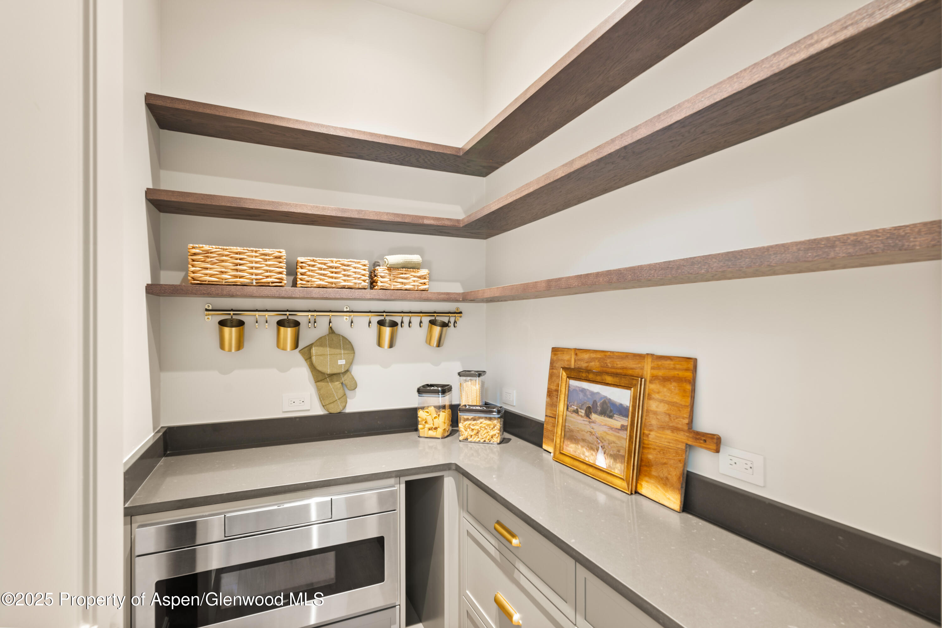1042 Bald Eagle Way Property Photo 10