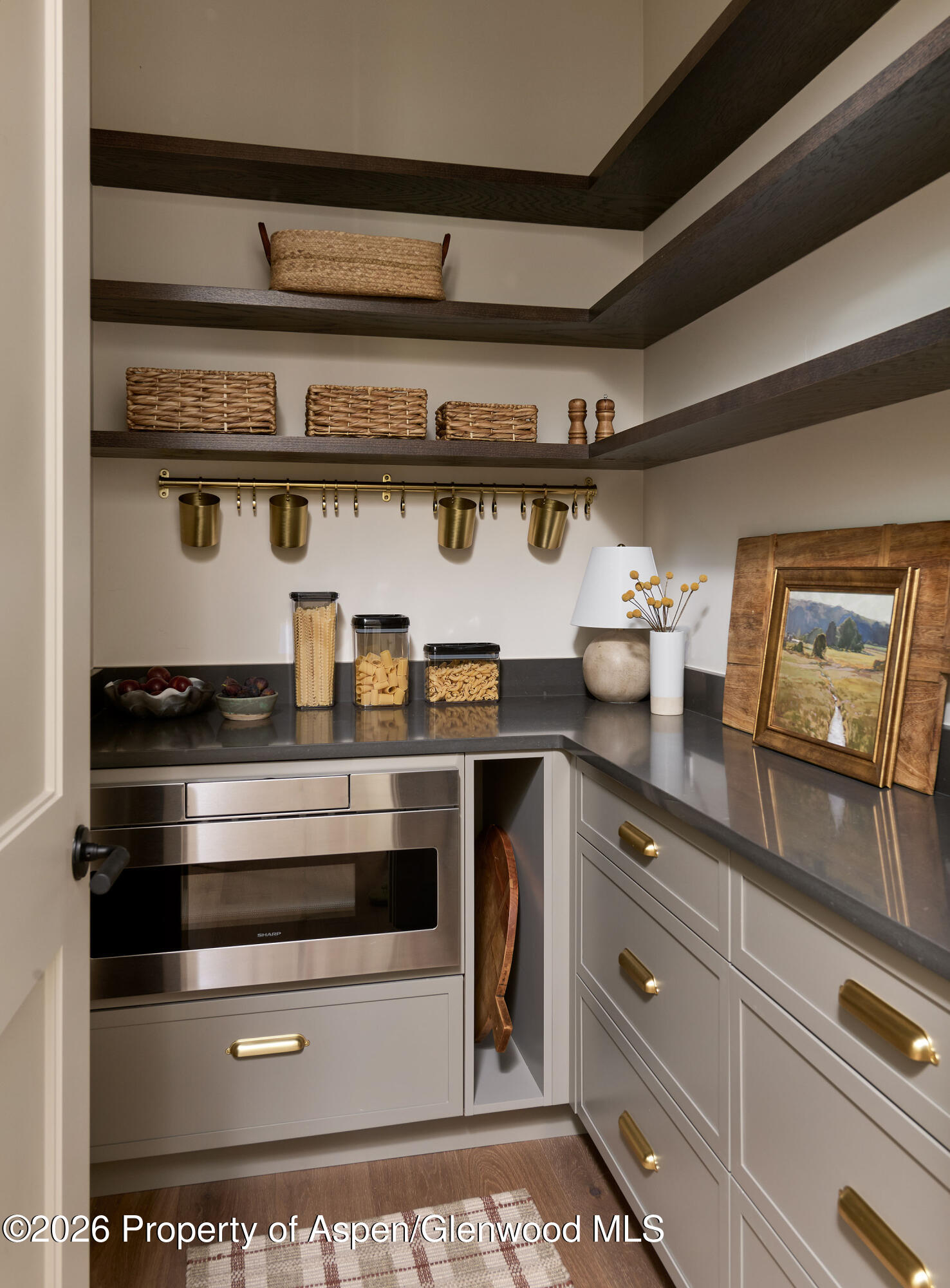 1042 Bald Eagle Way Property Photo 11