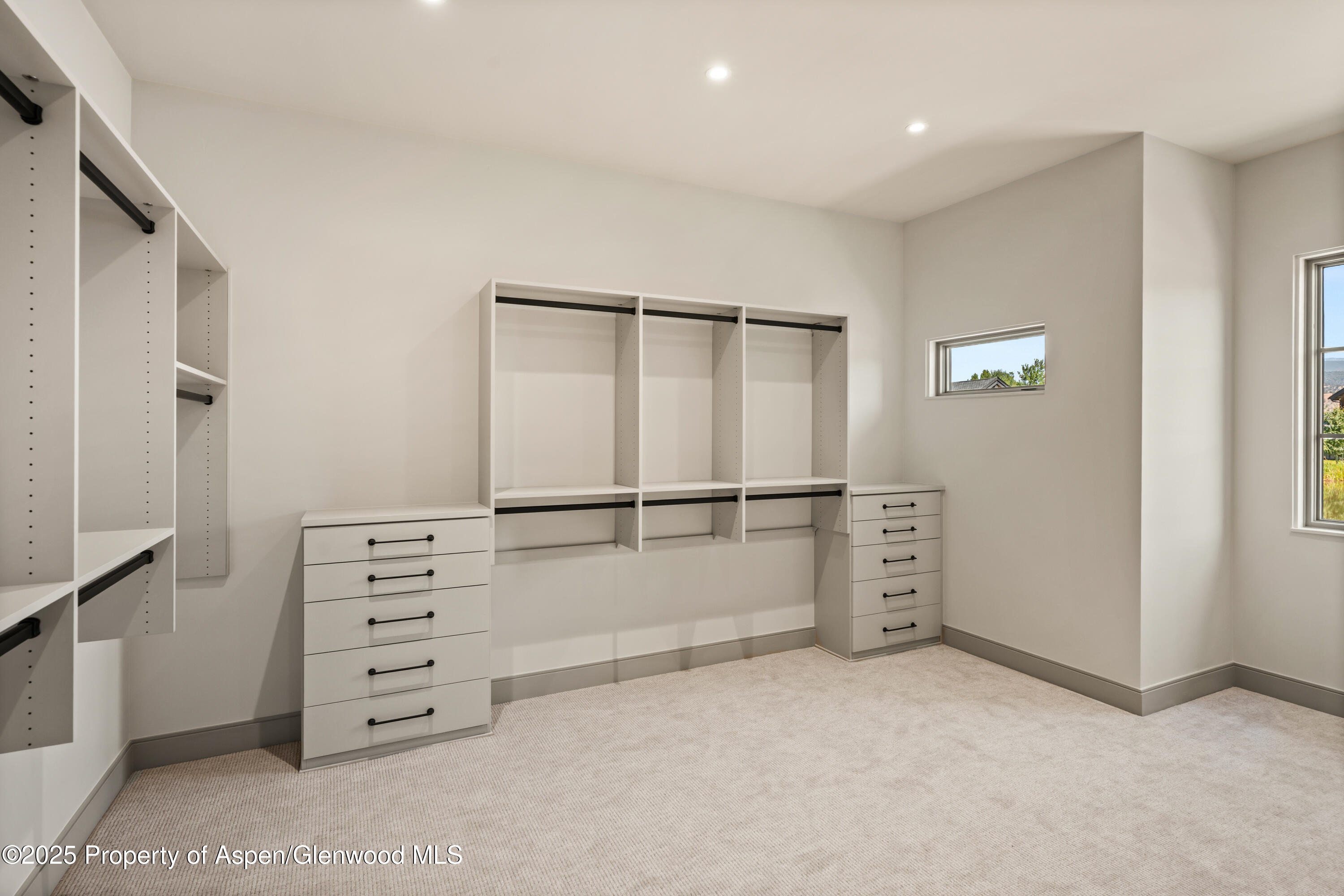 1042 Bald Eagle Way Property Photo 16