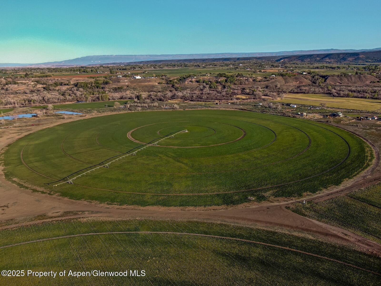 8015 Scenic Mesa Road Property Photo 16