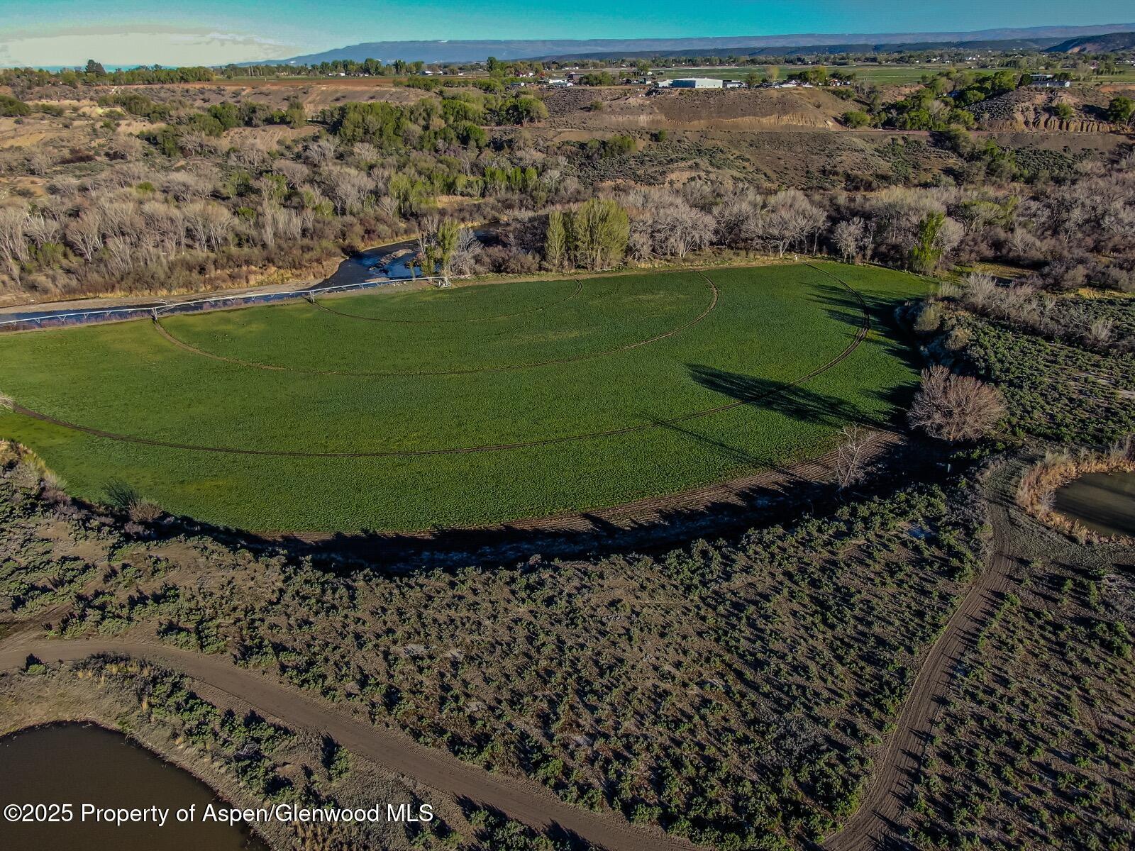 8015 Scenic Mesa Road Property Photo 34