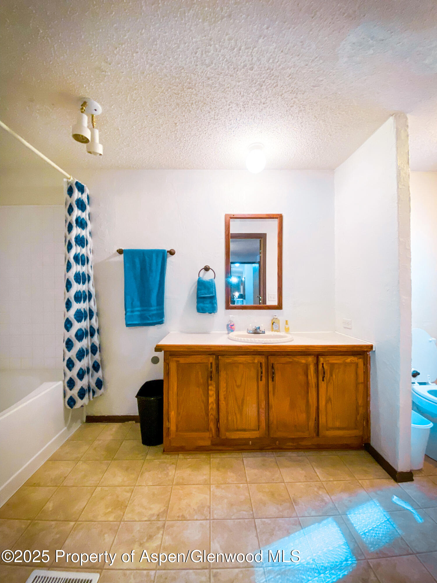5033 335 County Rd, #189 Property Photo 16