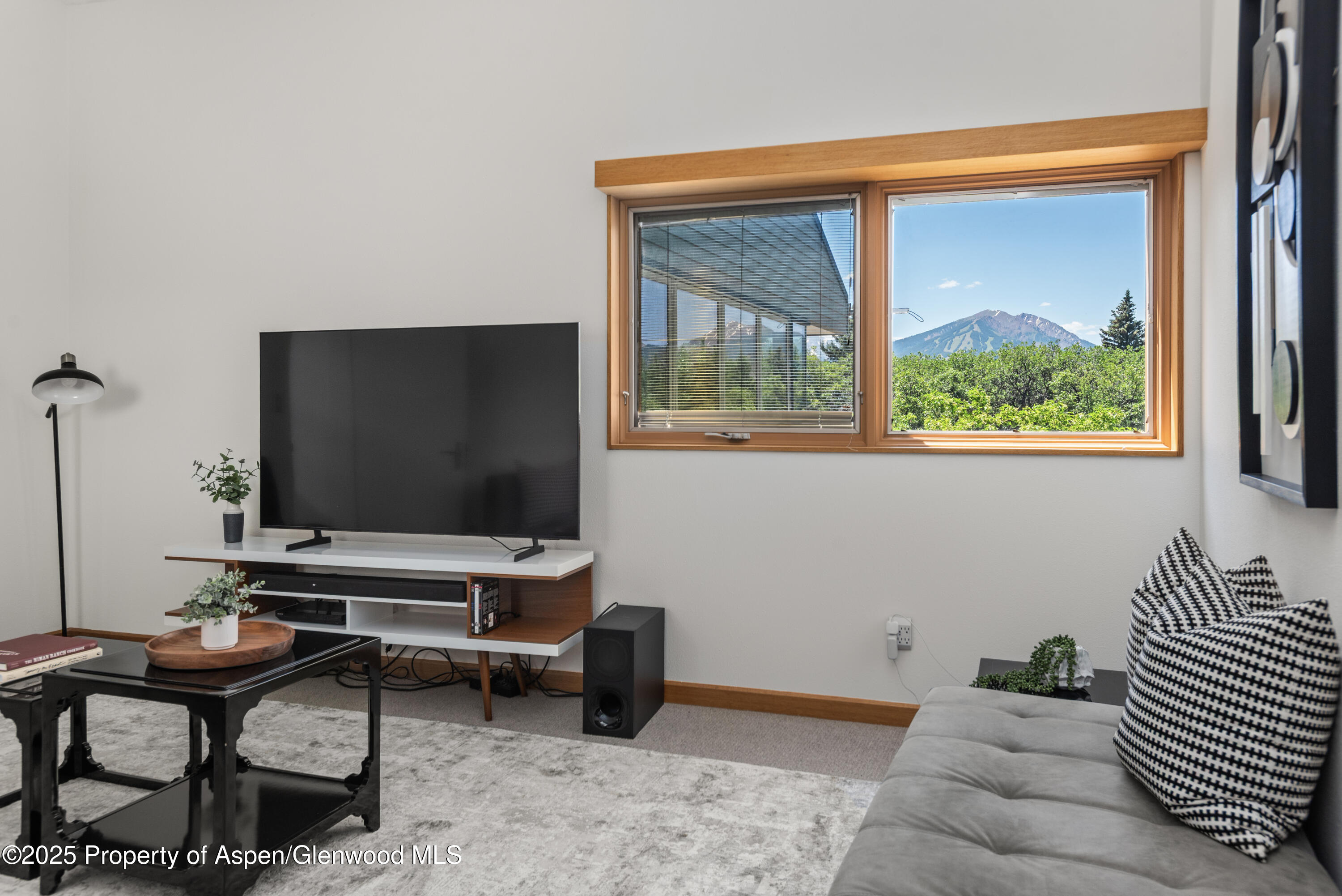 623 Johnson Drive Property Photo 28