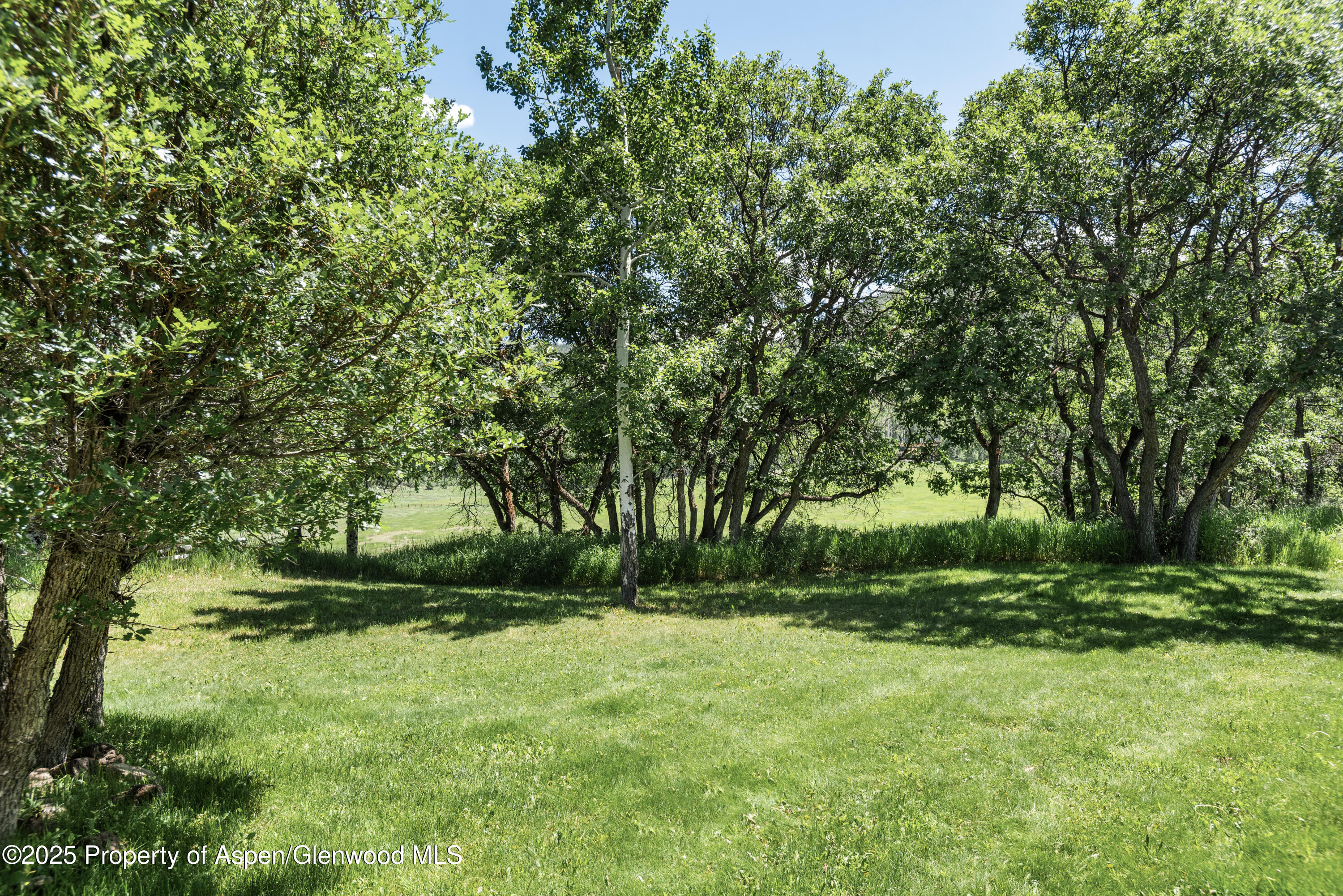 623 Johnson Drive Property Photo 38