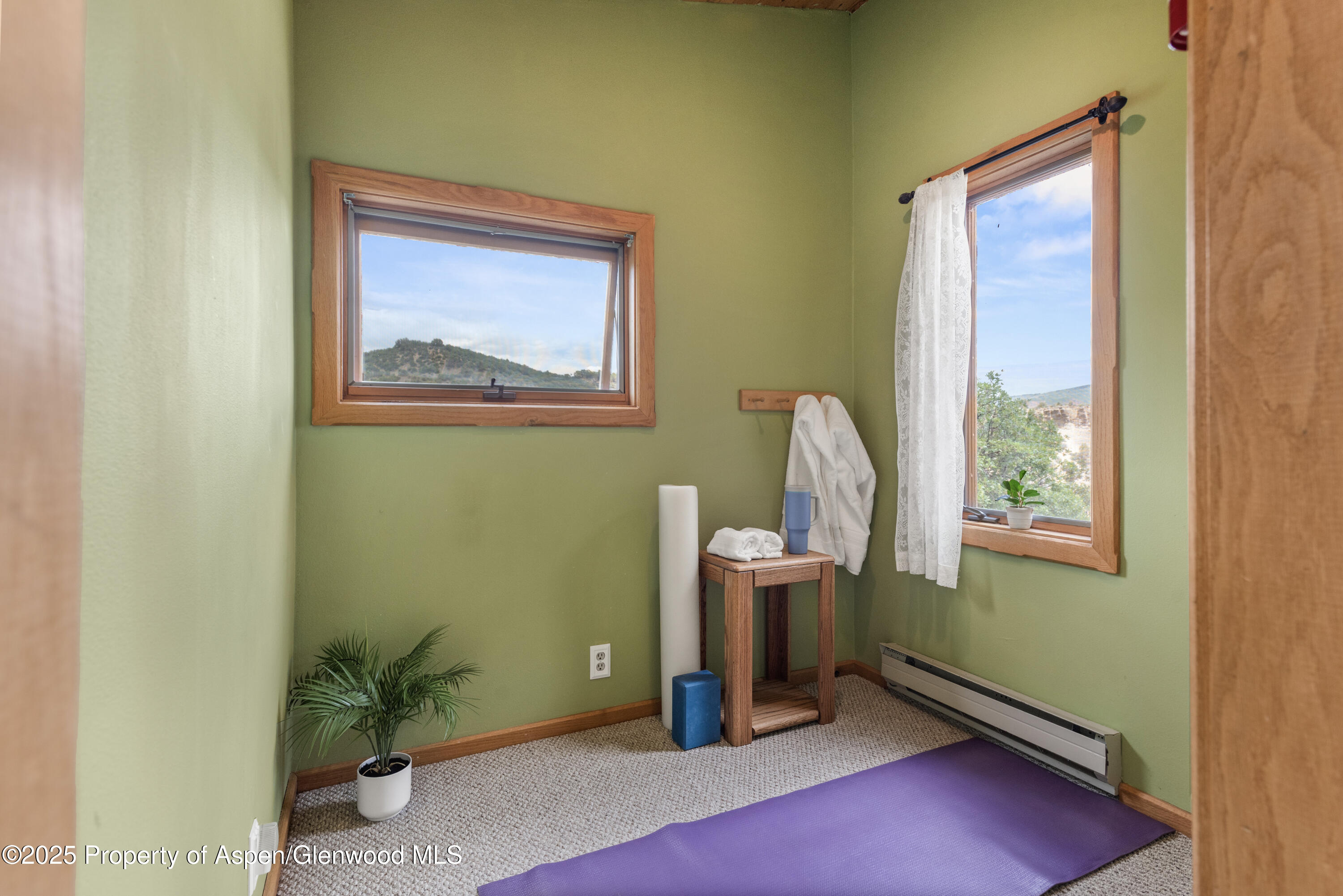 2020 Juniper Hill Drive Property Photo 4