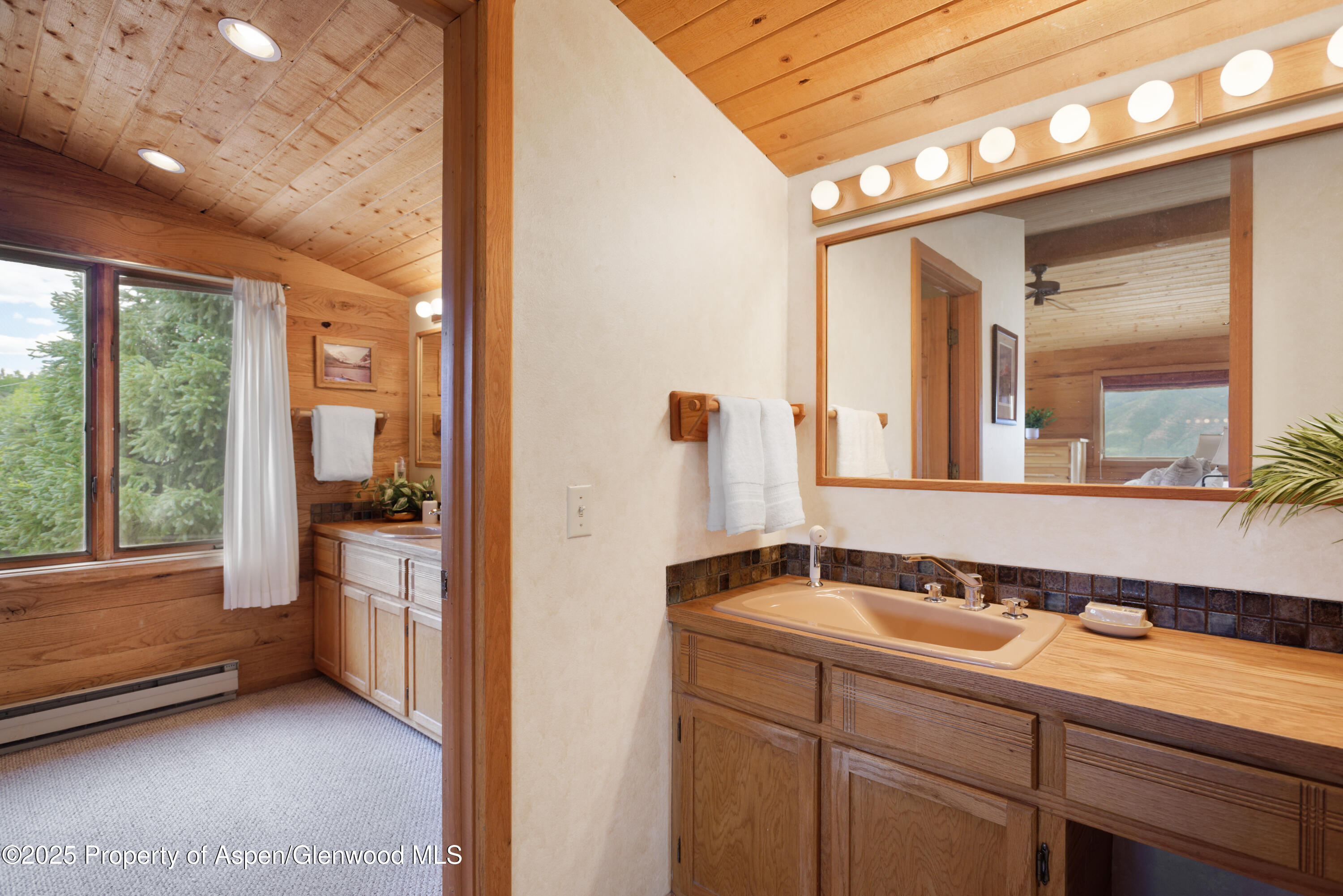2020 Juniper Hill Drive Property Photo 5