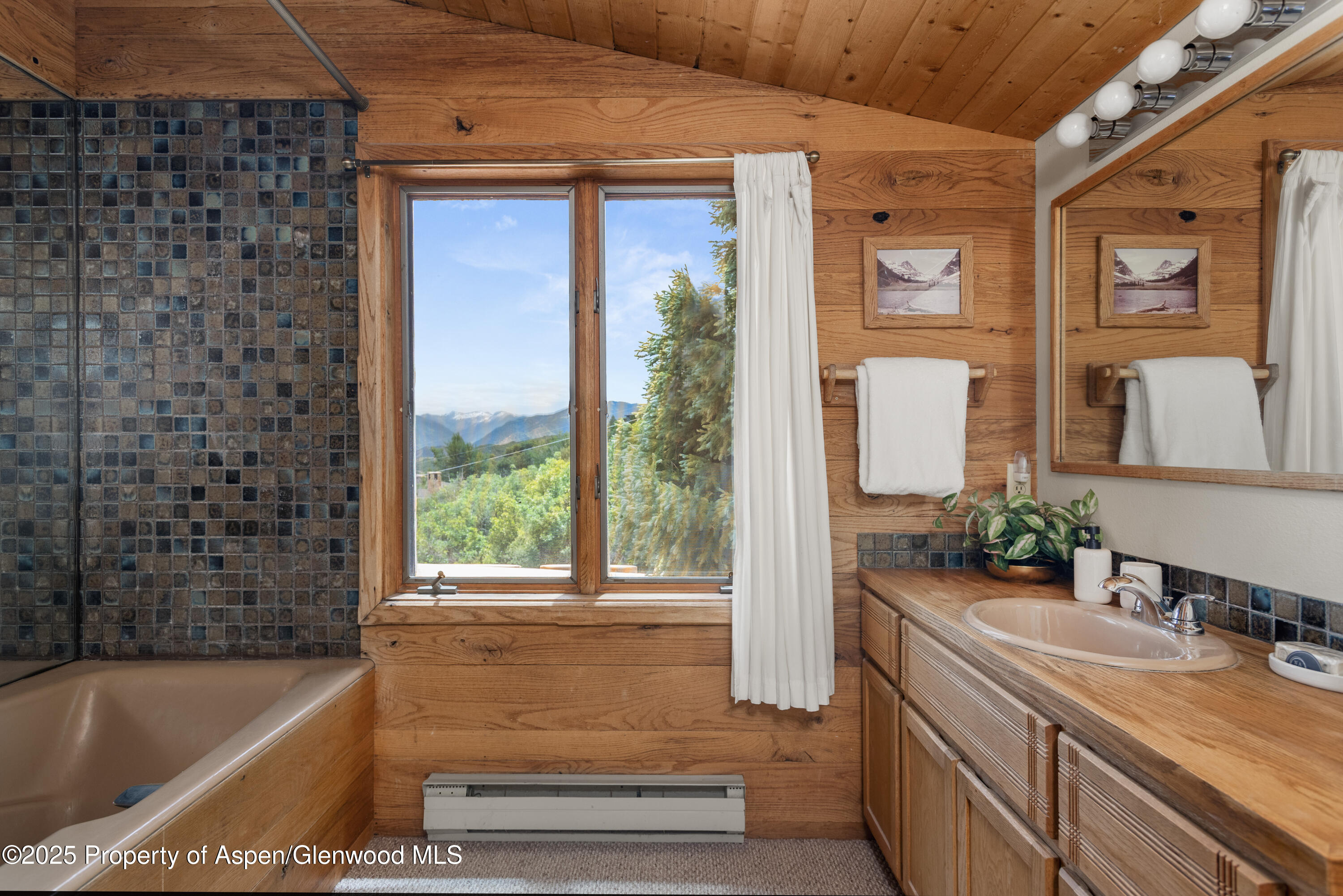 2020 Juniper Hill Drive Property Photo 6
