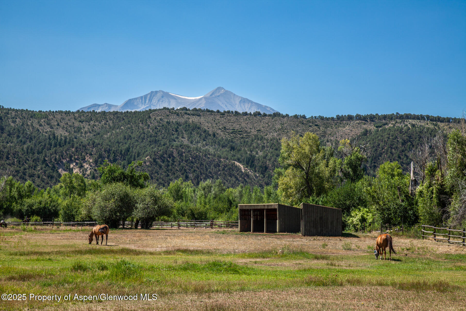 14913 Hwy 82, 275 Property Photo 22