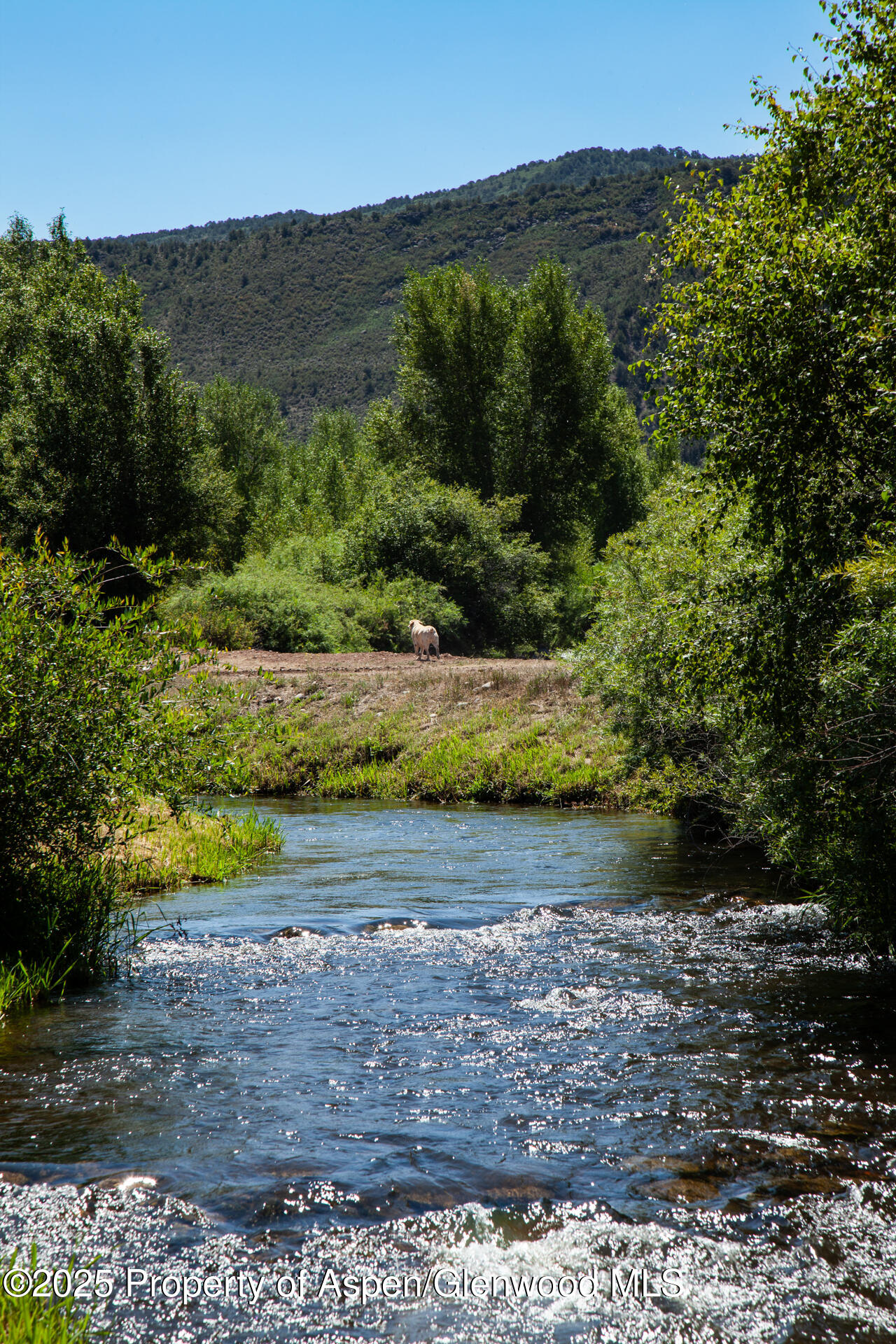 14913 Hwy 82, 275 Property Photo 26