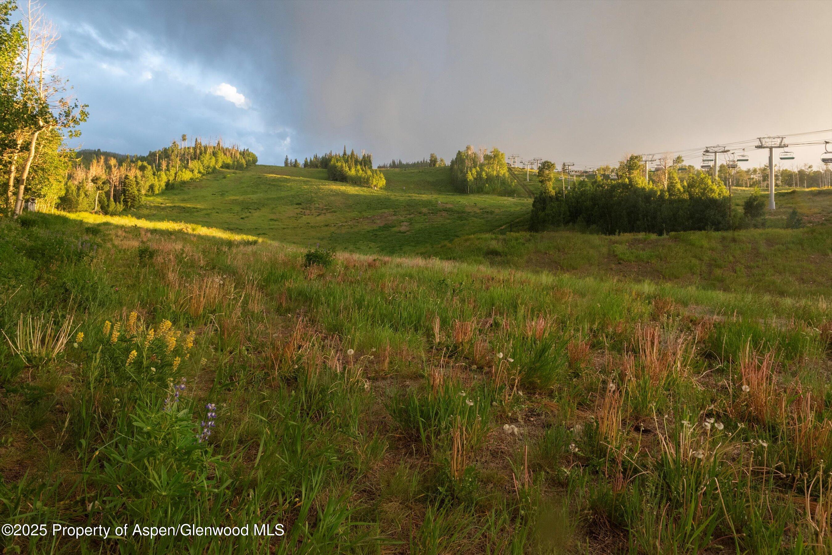 473 Creek Lane Property Photo 23