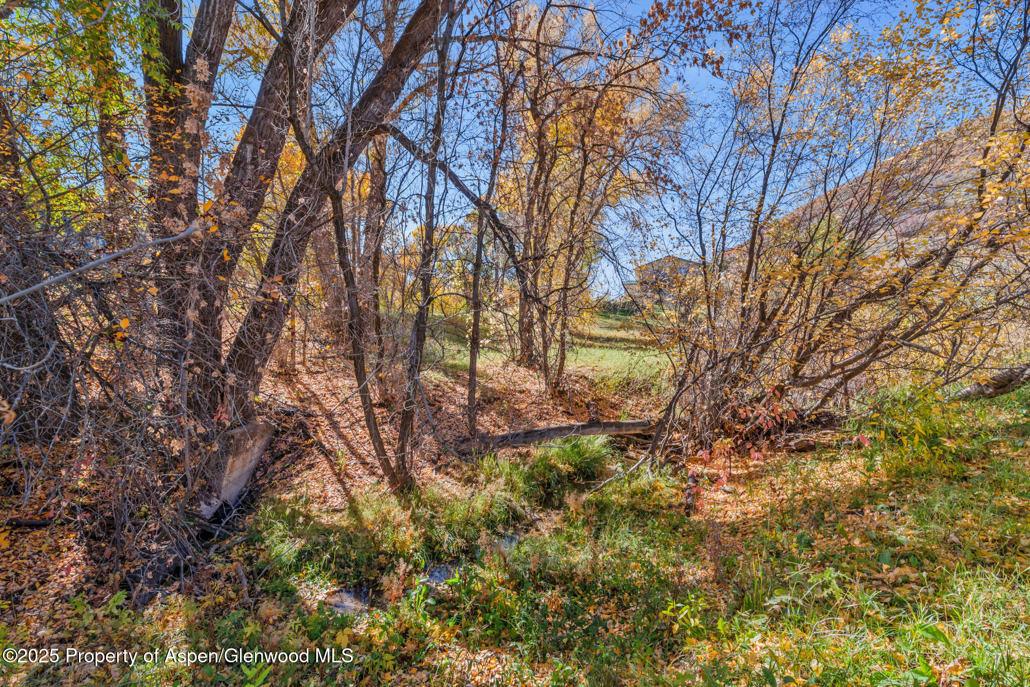 17550 W Us Highway 40 Property Photo 48