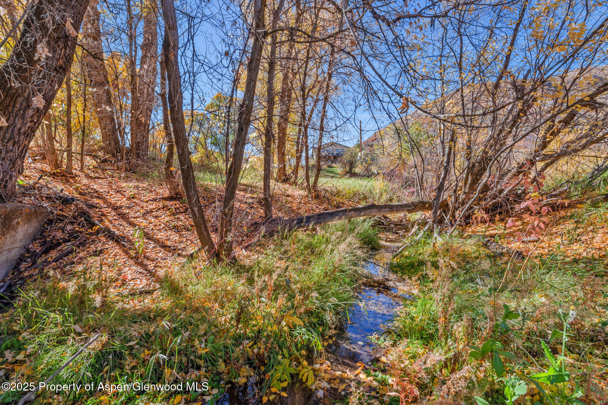 17550 W Us Highway 40 Property Photo 49