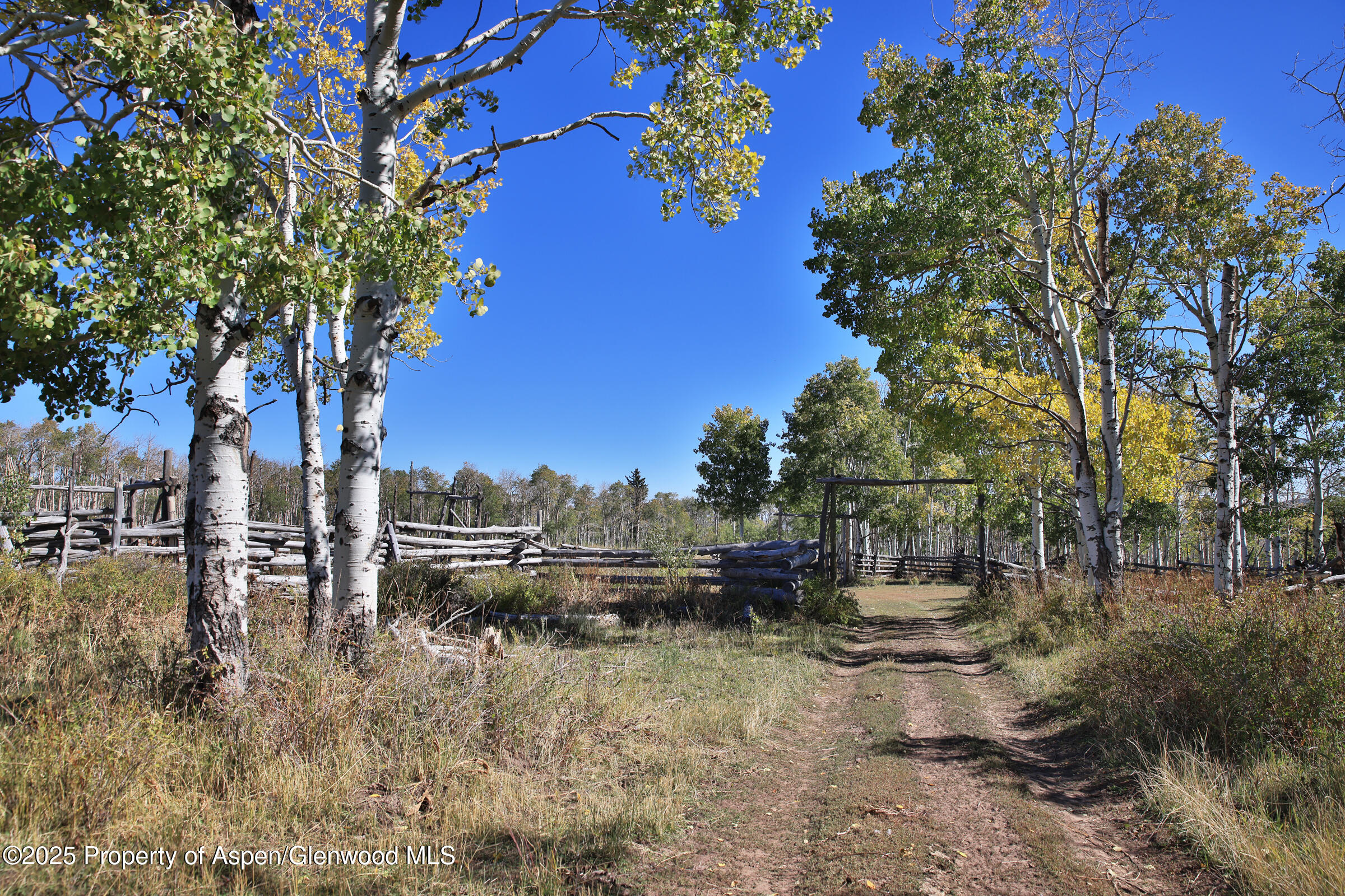 Tbd Divide Road Entire Package Property Photo 4
