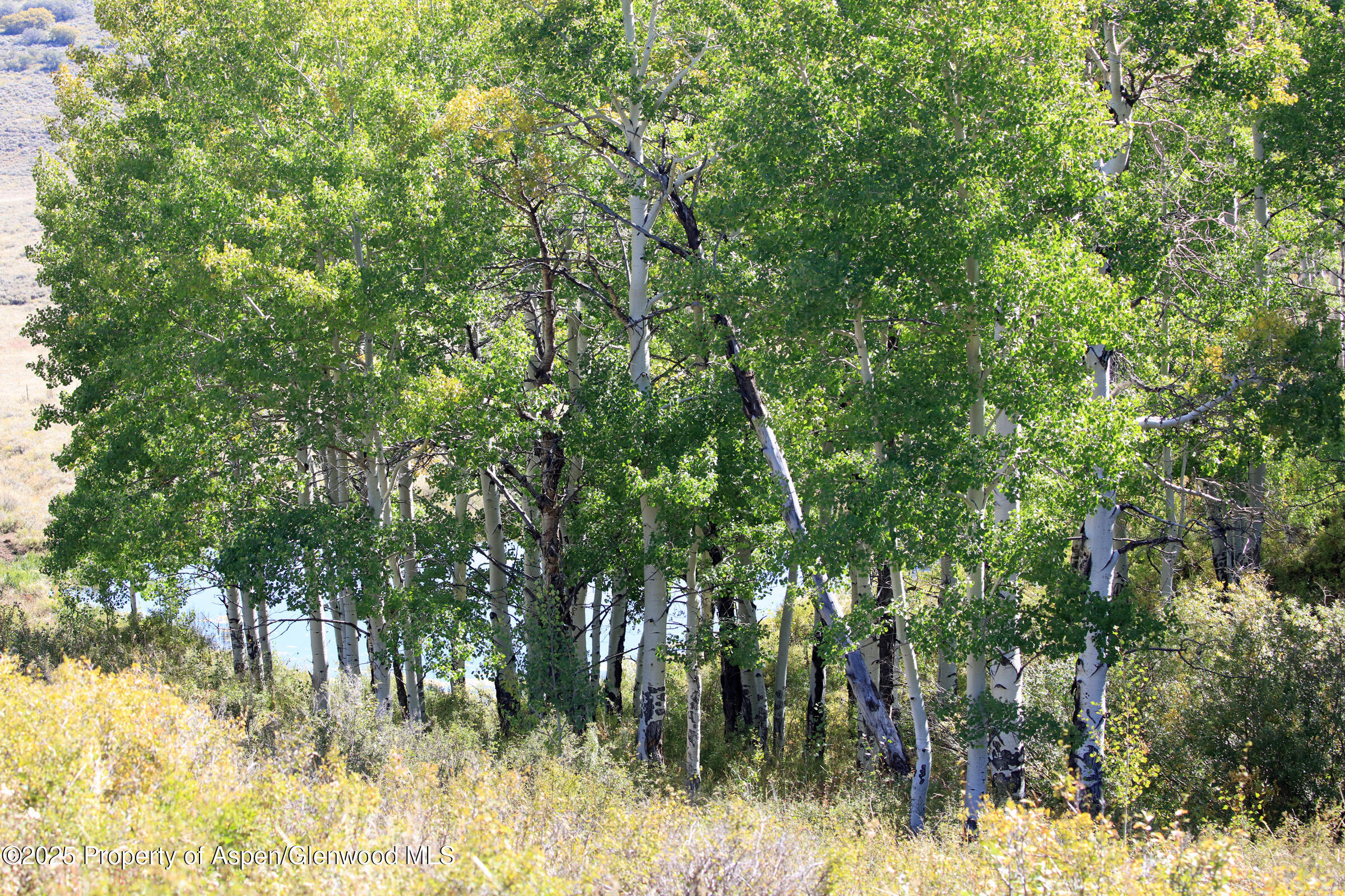 Tbd Divide Road Entire Package Property Photo 25