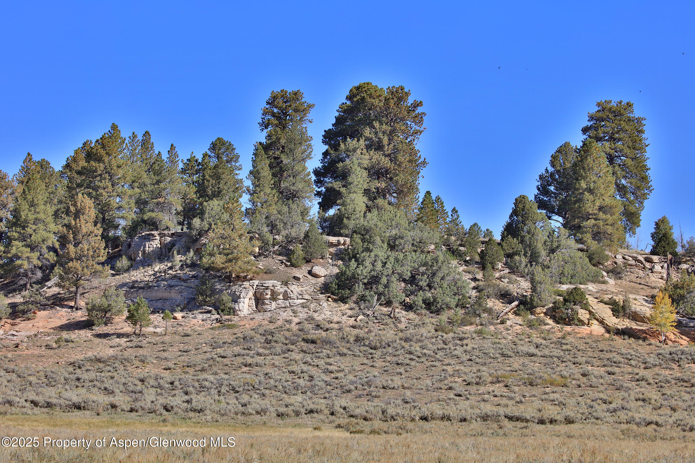 Tbd Divide Road Entire Package Property Photo 40