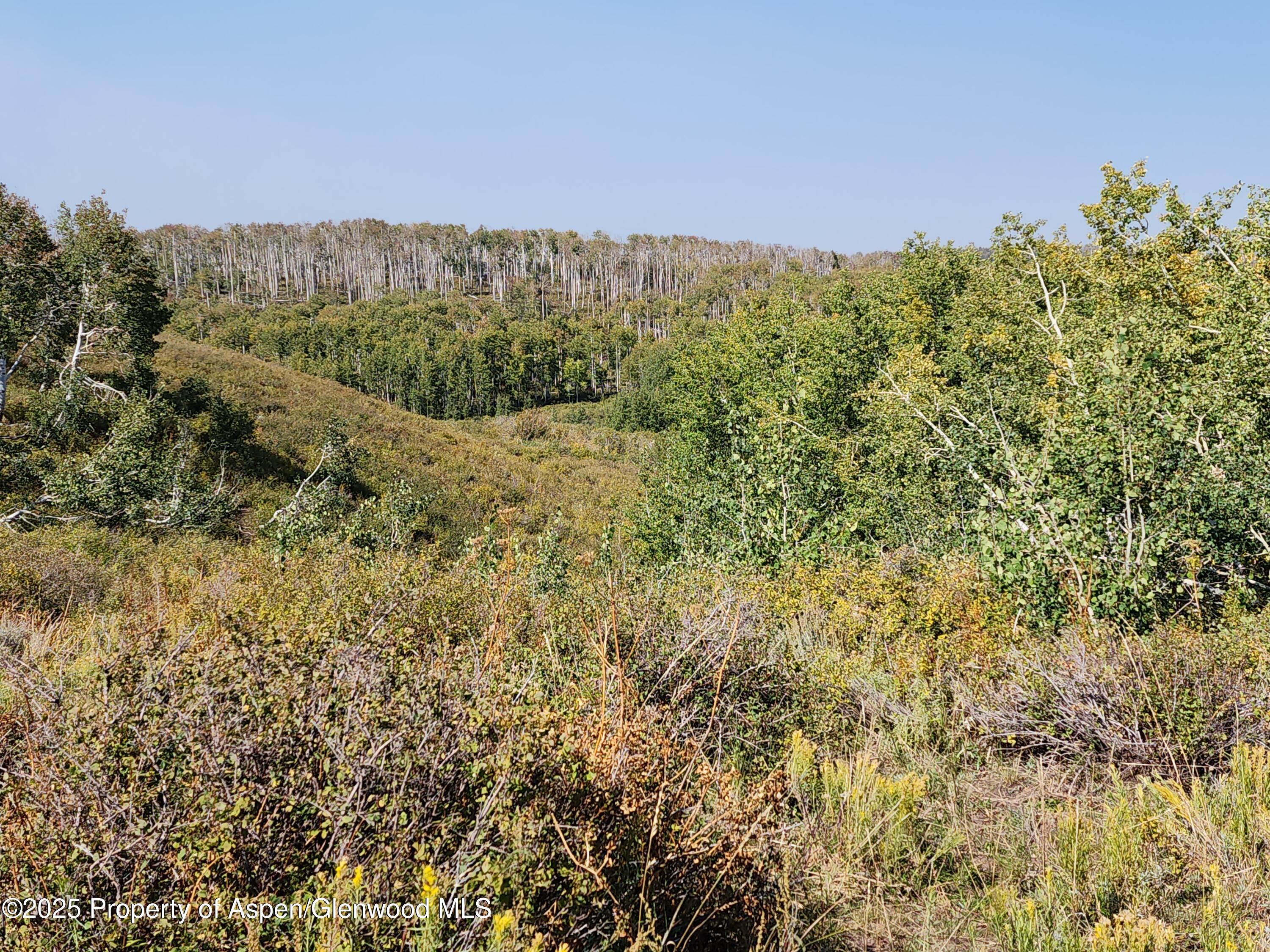 Tbd Divide (mont's Draw) Road Property Photo 8