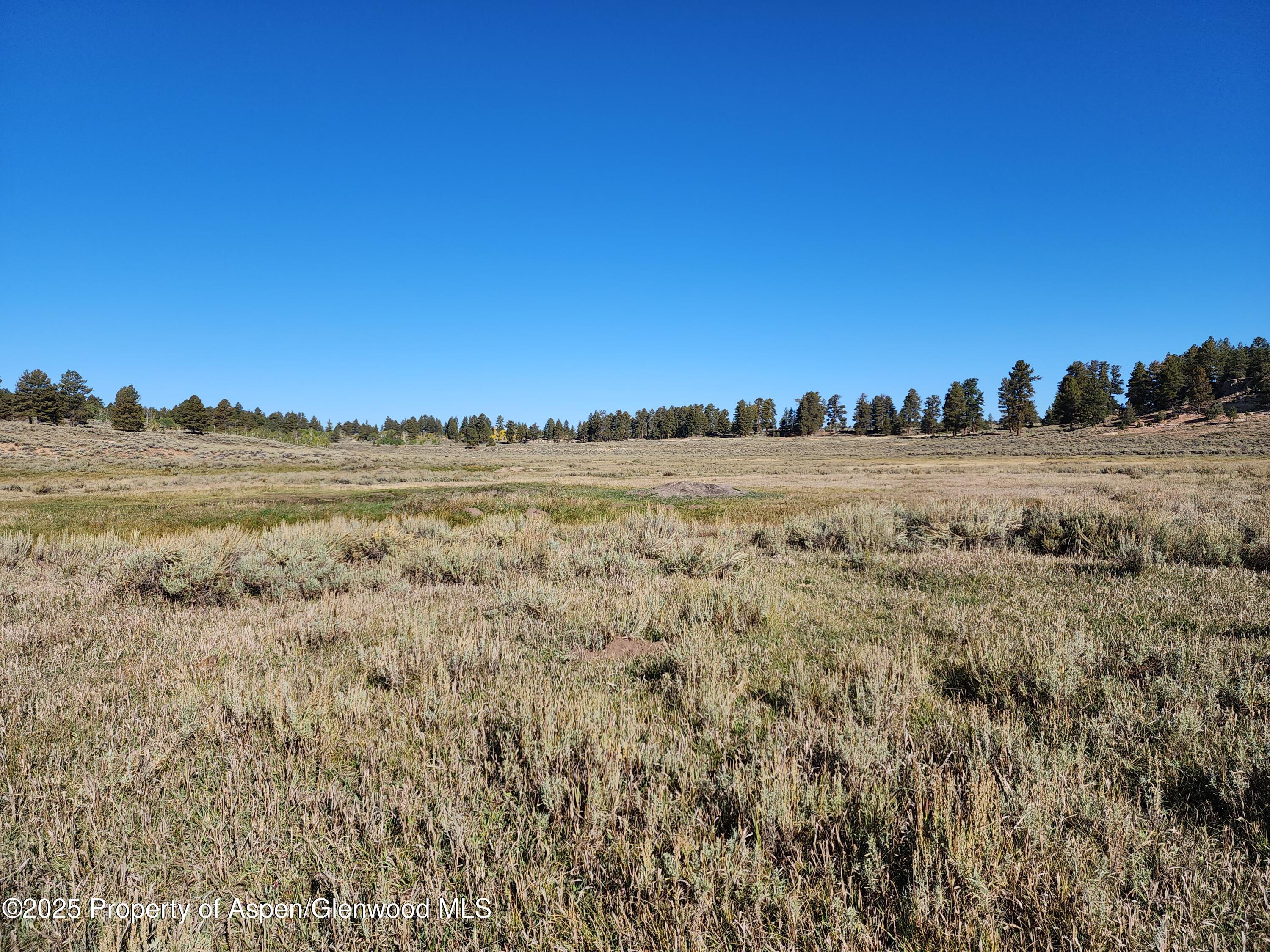 Tbd Divide Road Louie Pasture Property Photo 3