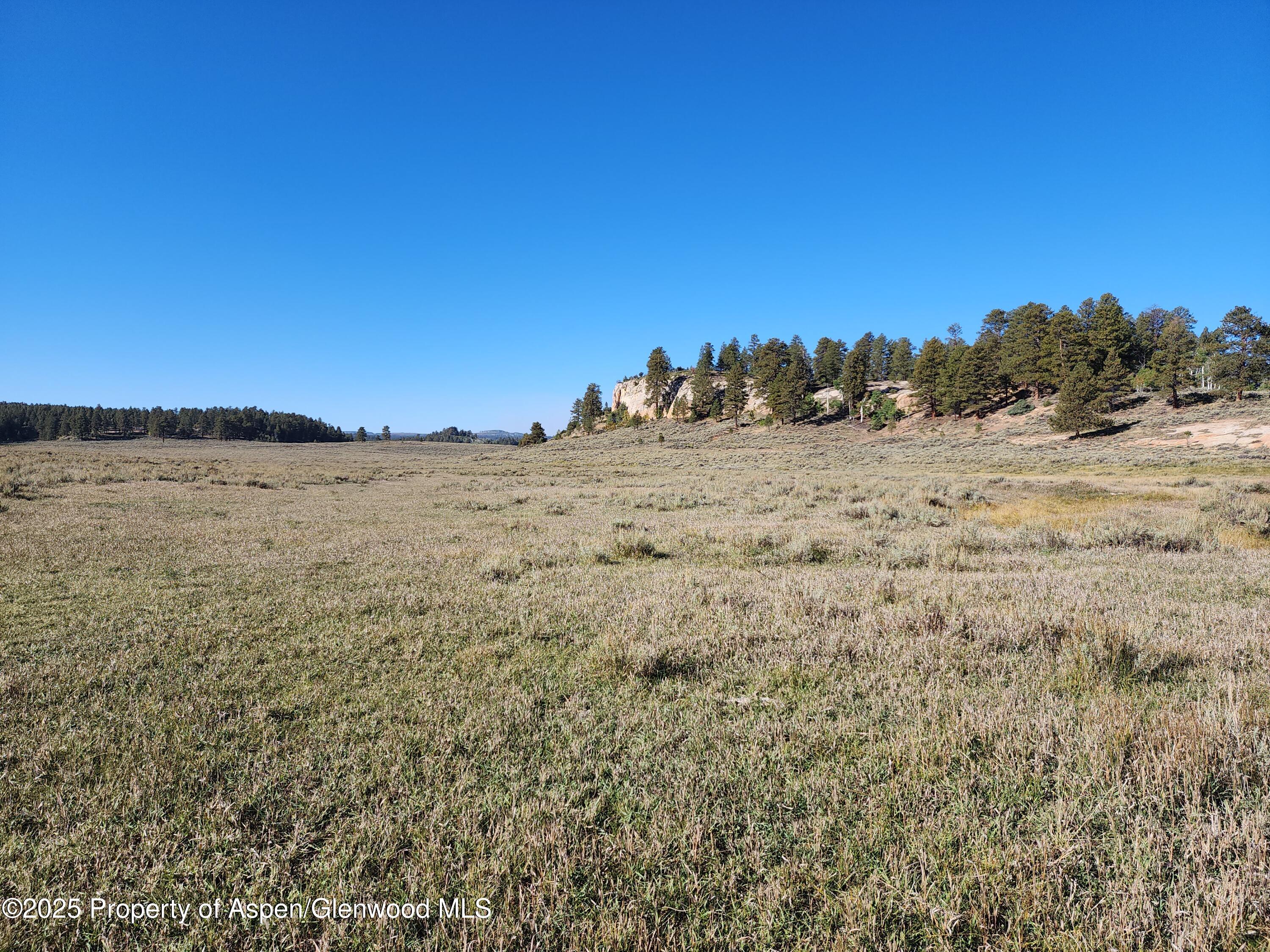 Tbd Divide Road Louie Pasture Property Photo 4