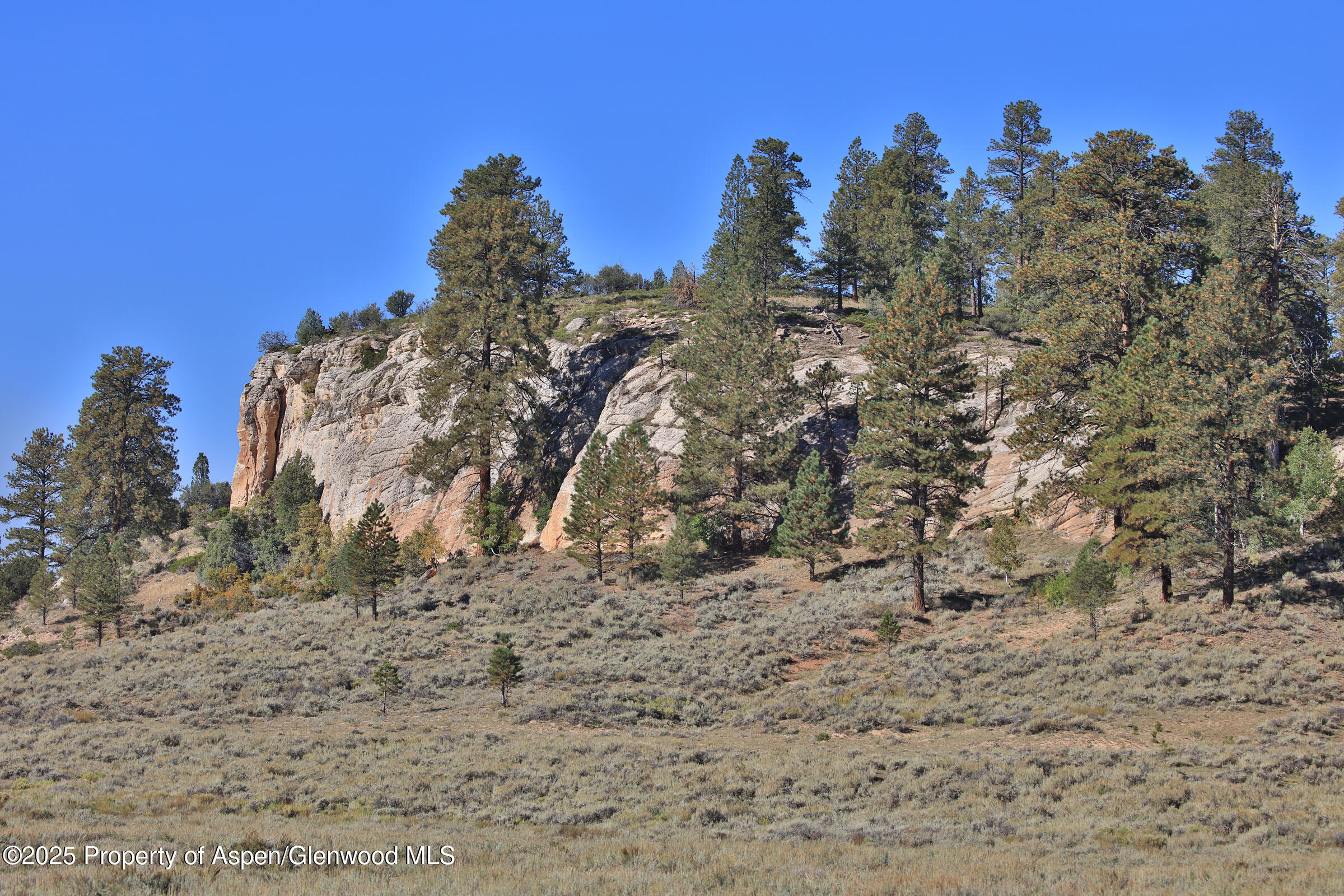 Tbd Divide Road Louie Pasture Property Photo 5