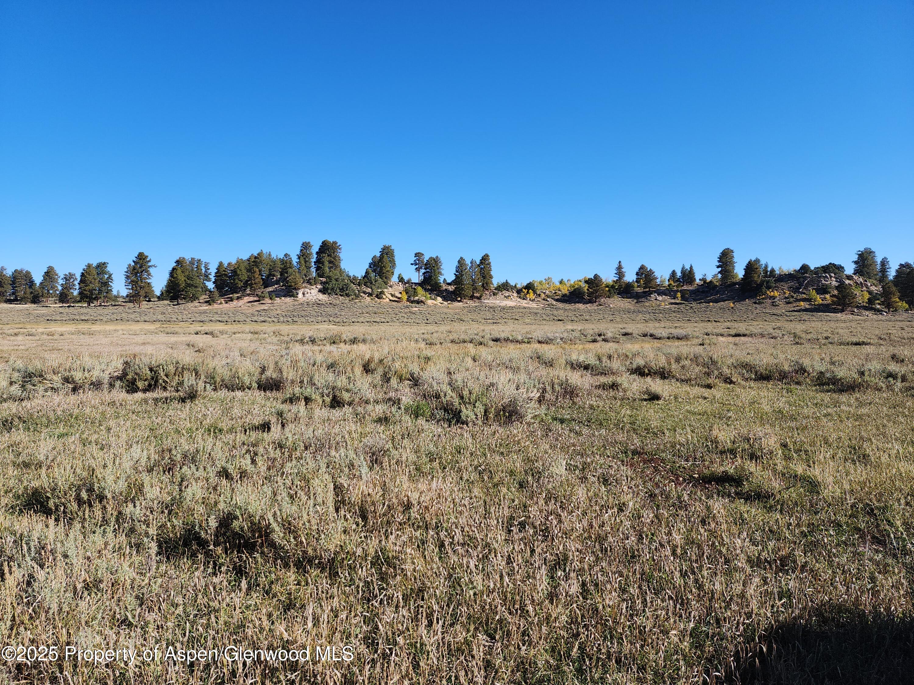 Tbd Divide Road Louie Pasture Property Photo 6