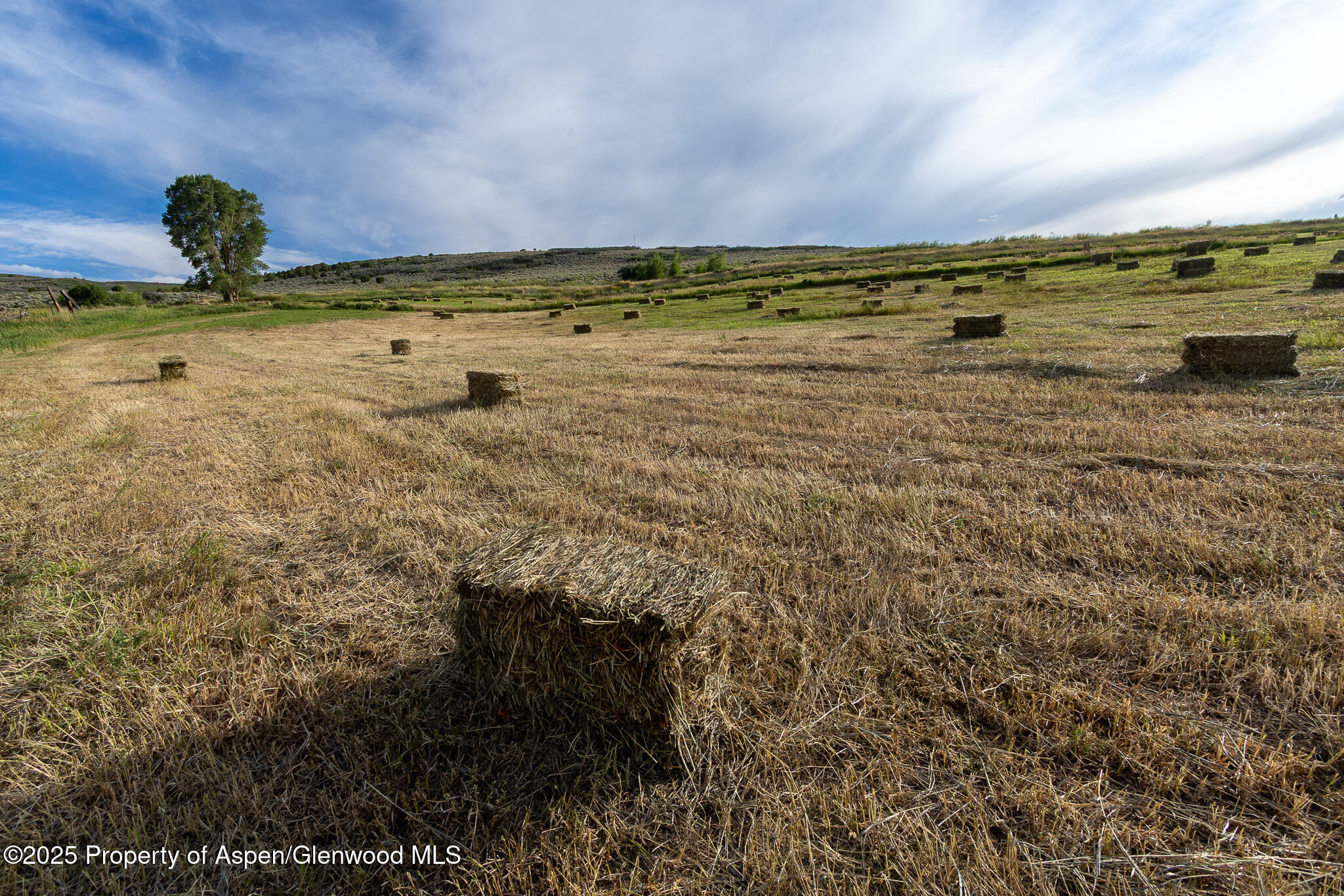 1903 County Road 43 Property Photo 53