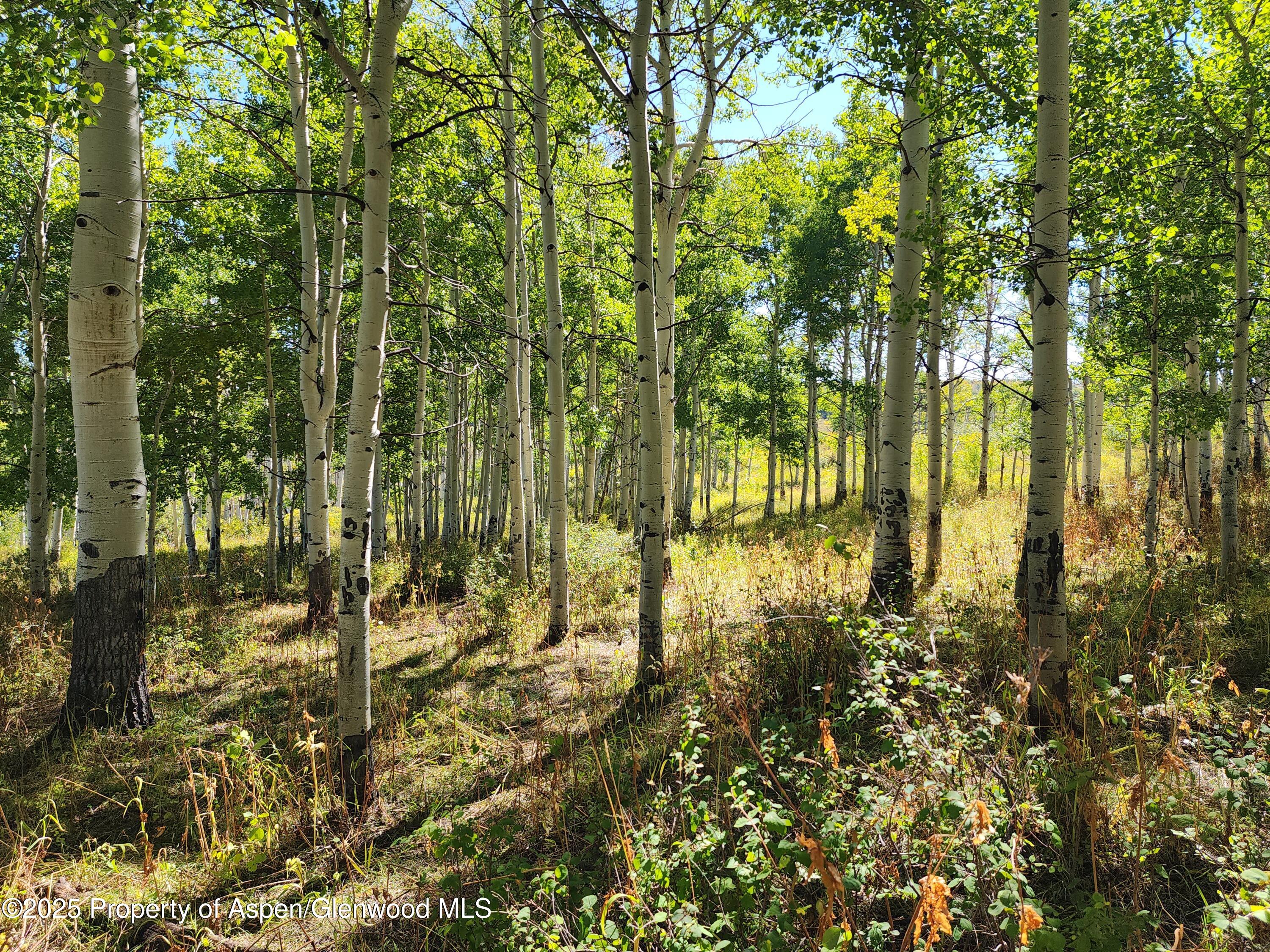 2586 26 1/10 Road Property Photo 17