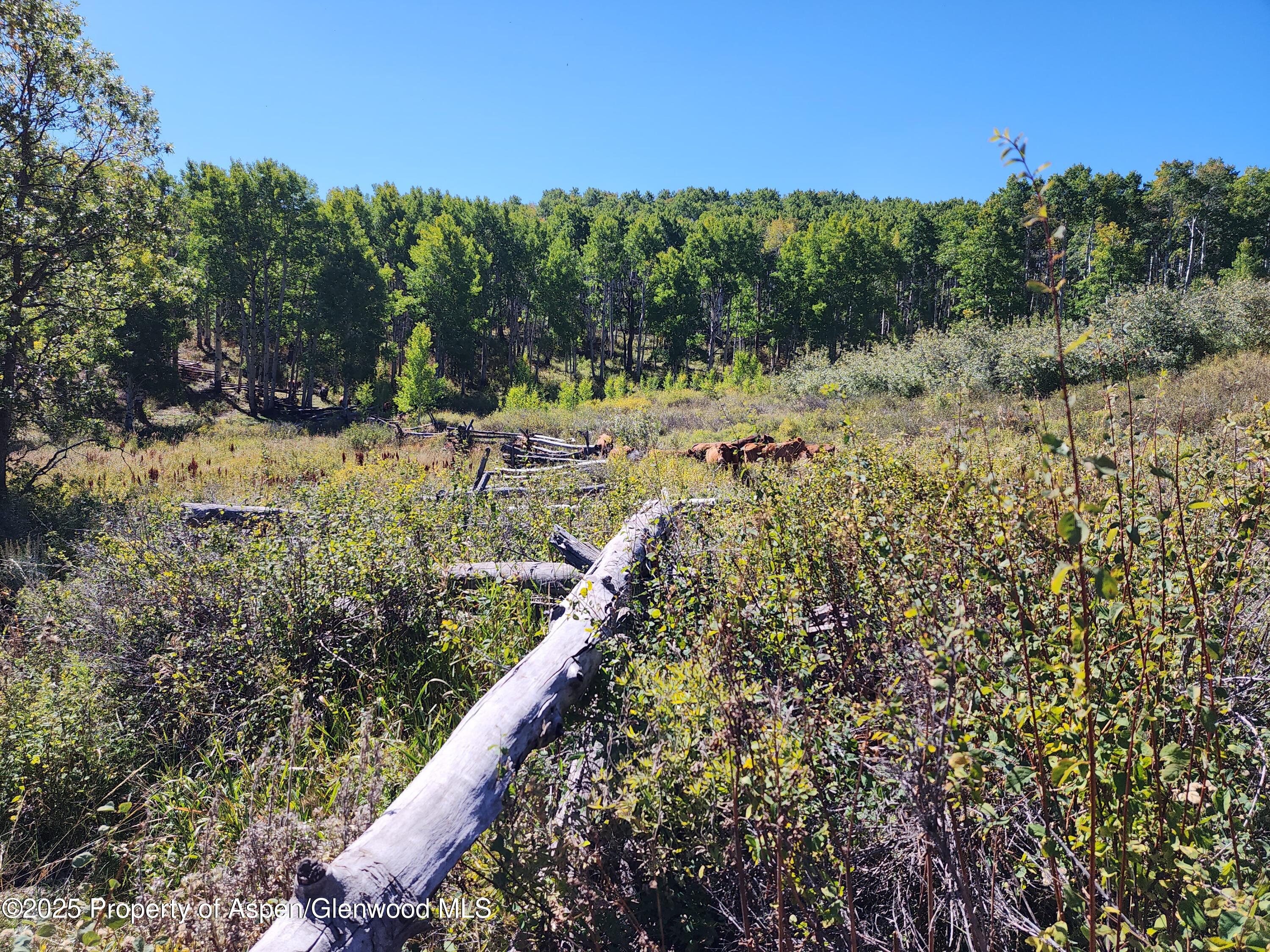 2586 26 1/10 Road Property Photo 21