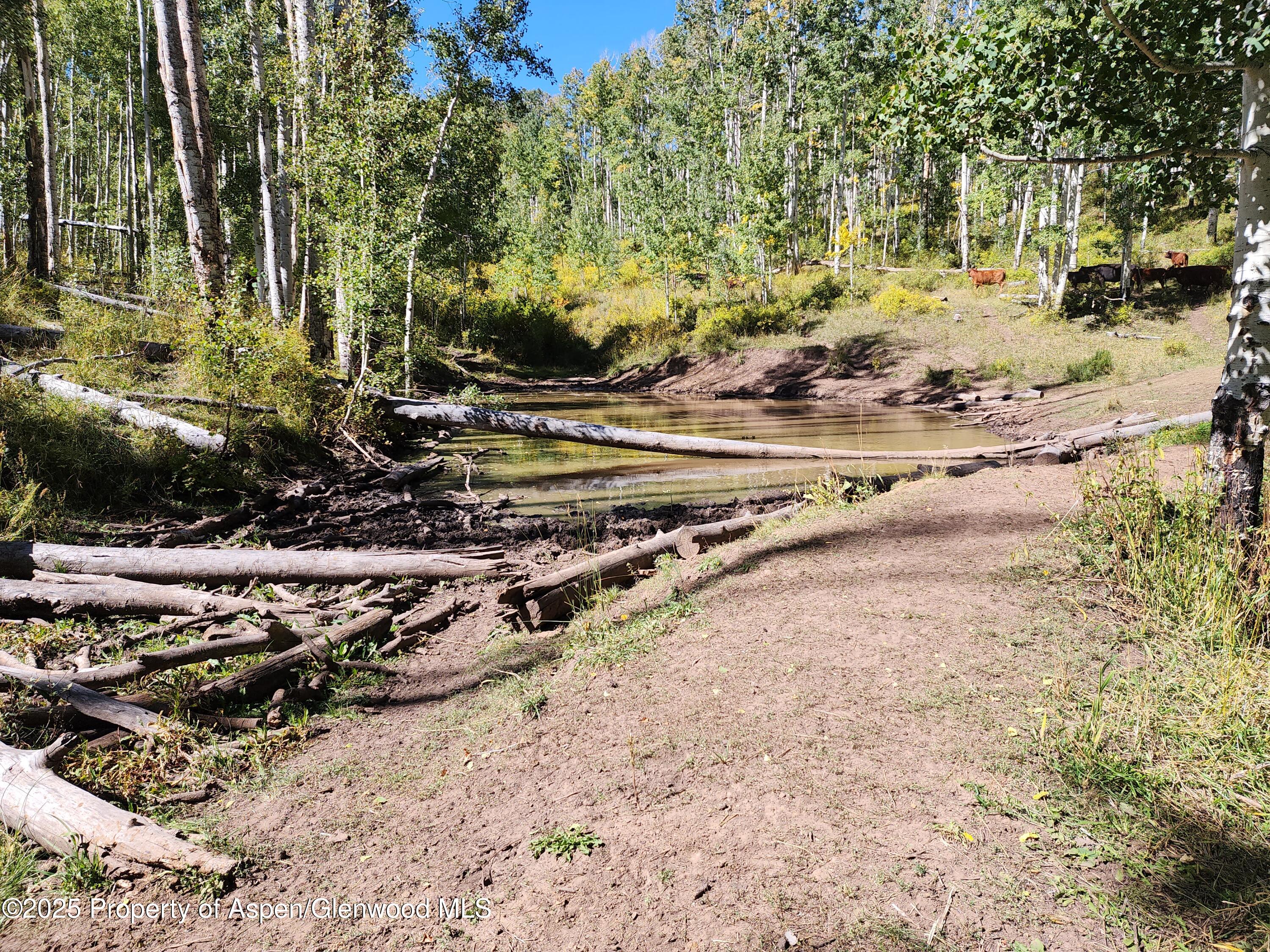 2586 26 1/10 Road Property Photo 38