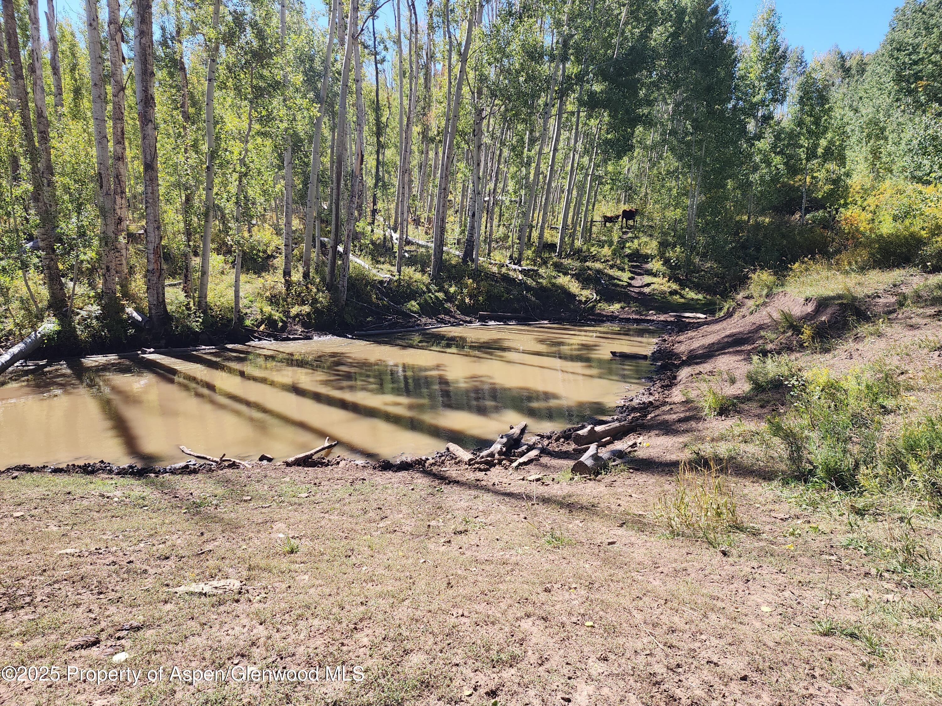 2586 26 1/10 Road Property Photo 39