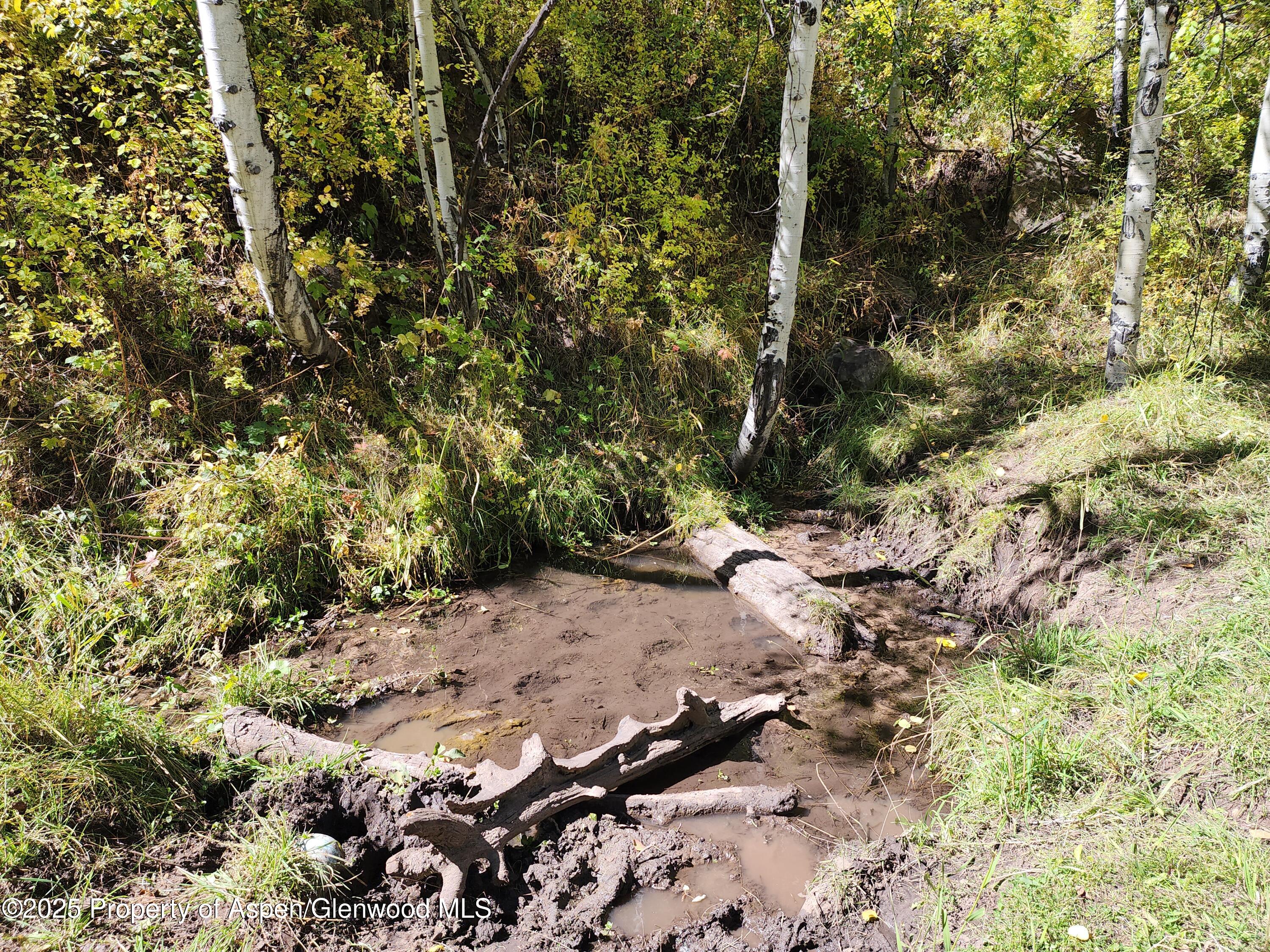 2586 26 1/10 Road Property Photo 40