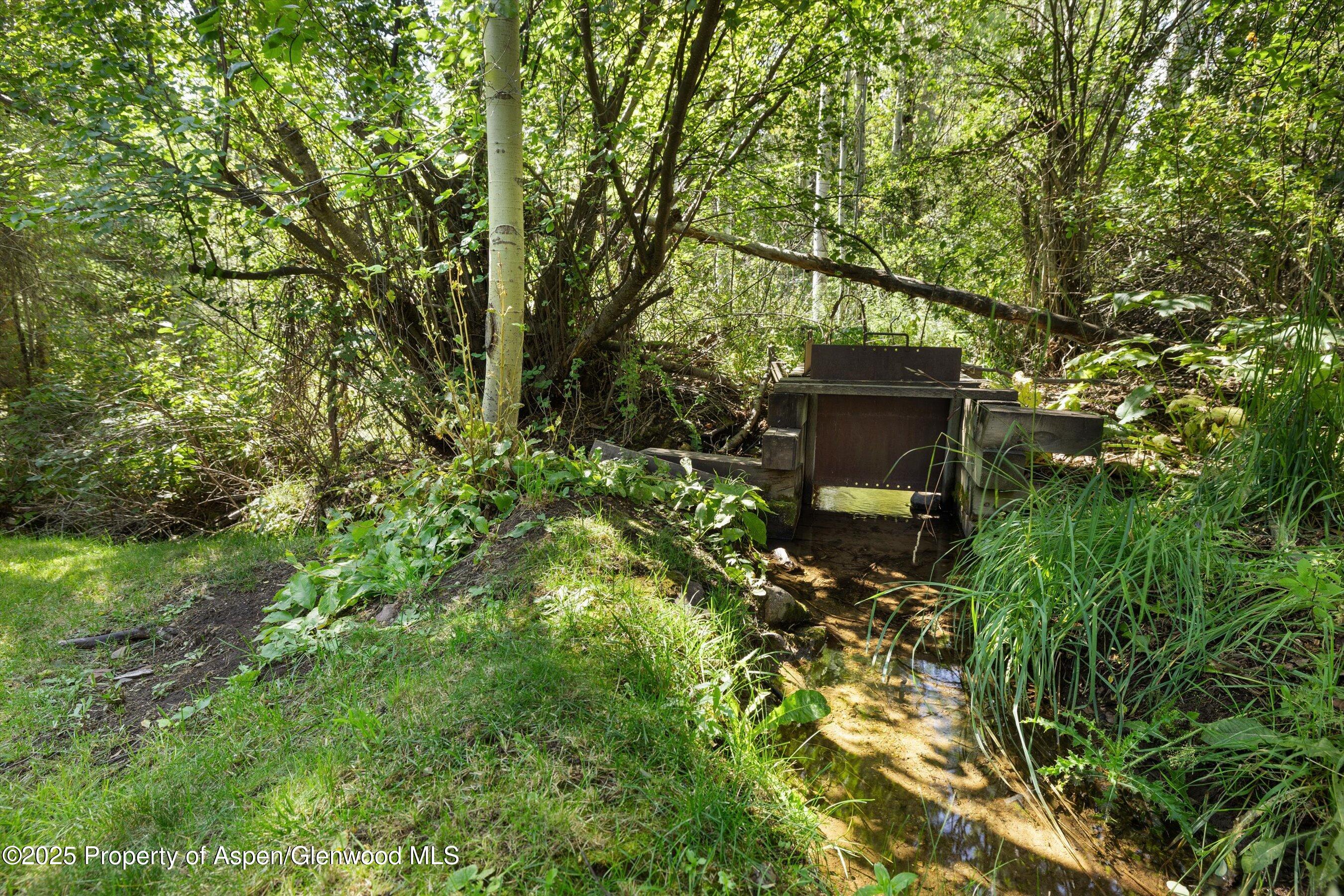 1145 Black Birch Drive Property Photo 33