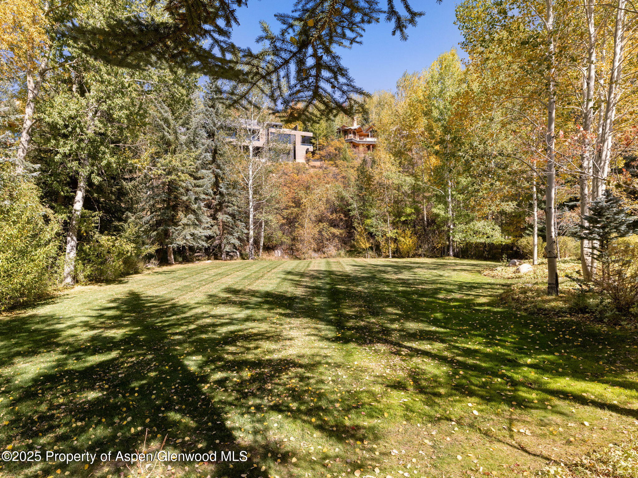 715 Willoughby Way Property Photo 64