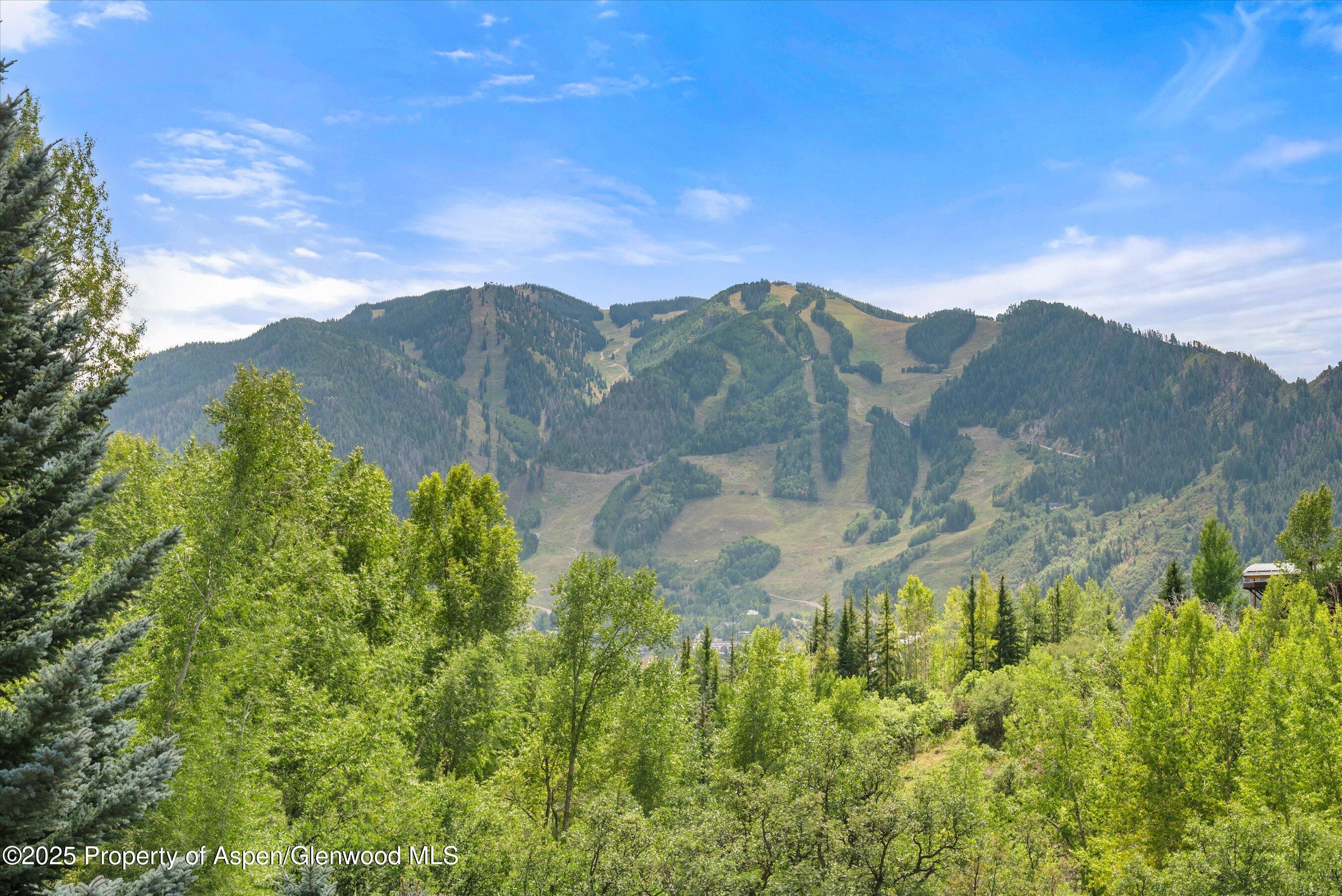 927 Red Mountain Road Property Photo 2