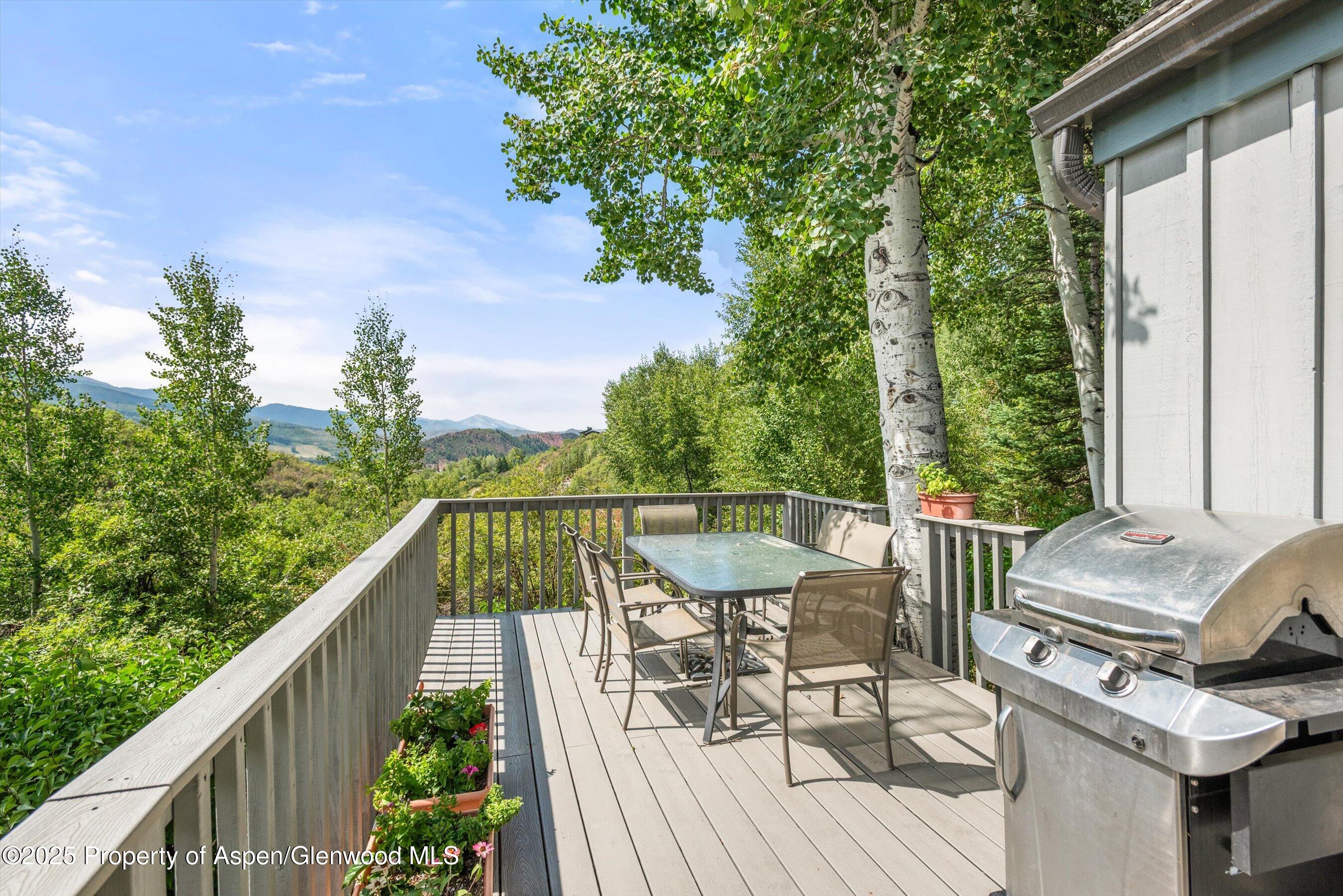 927 Red Mountain Road Property Photo 34