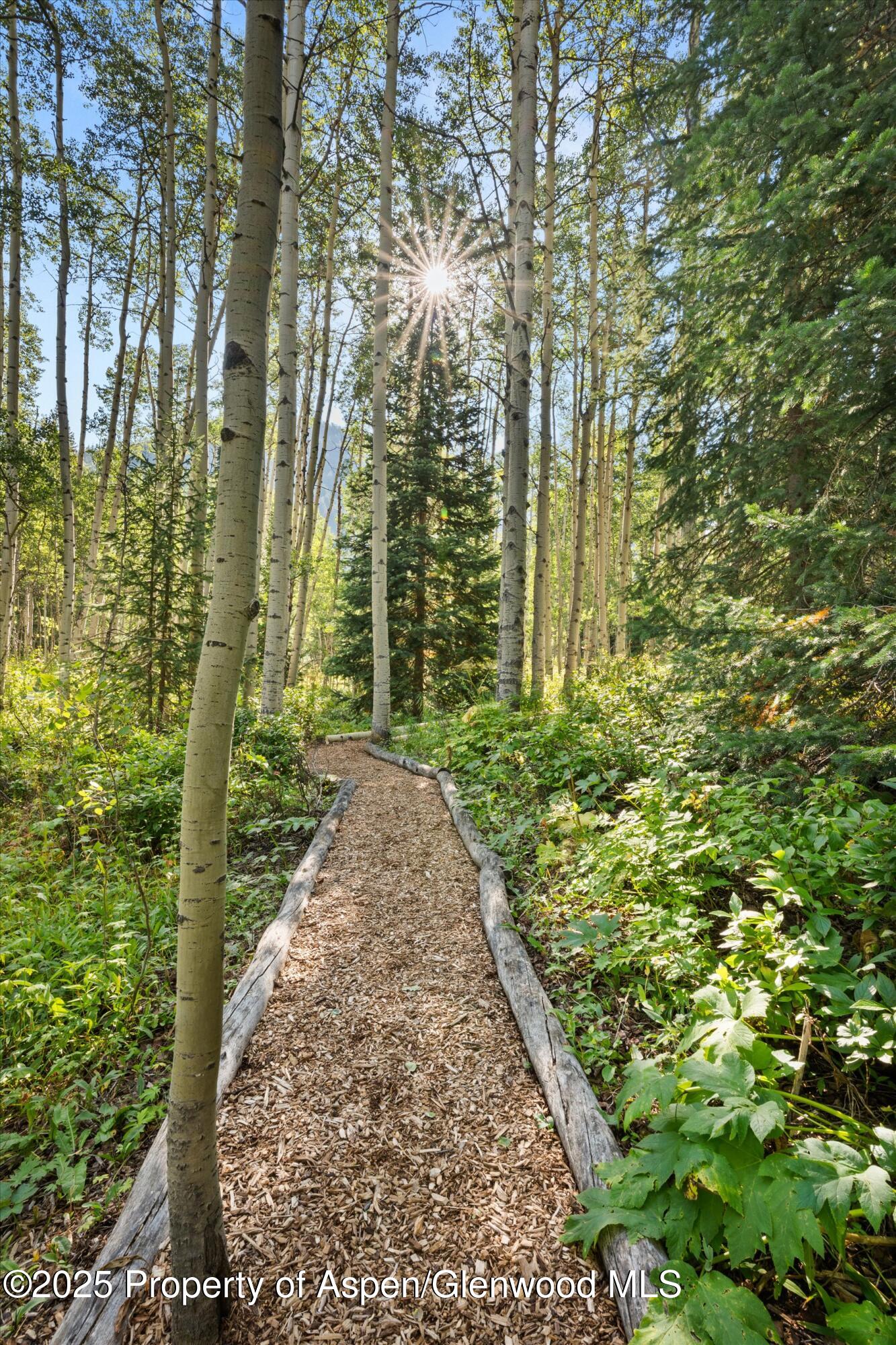 9555 Castle Creek Road Property Photo 33