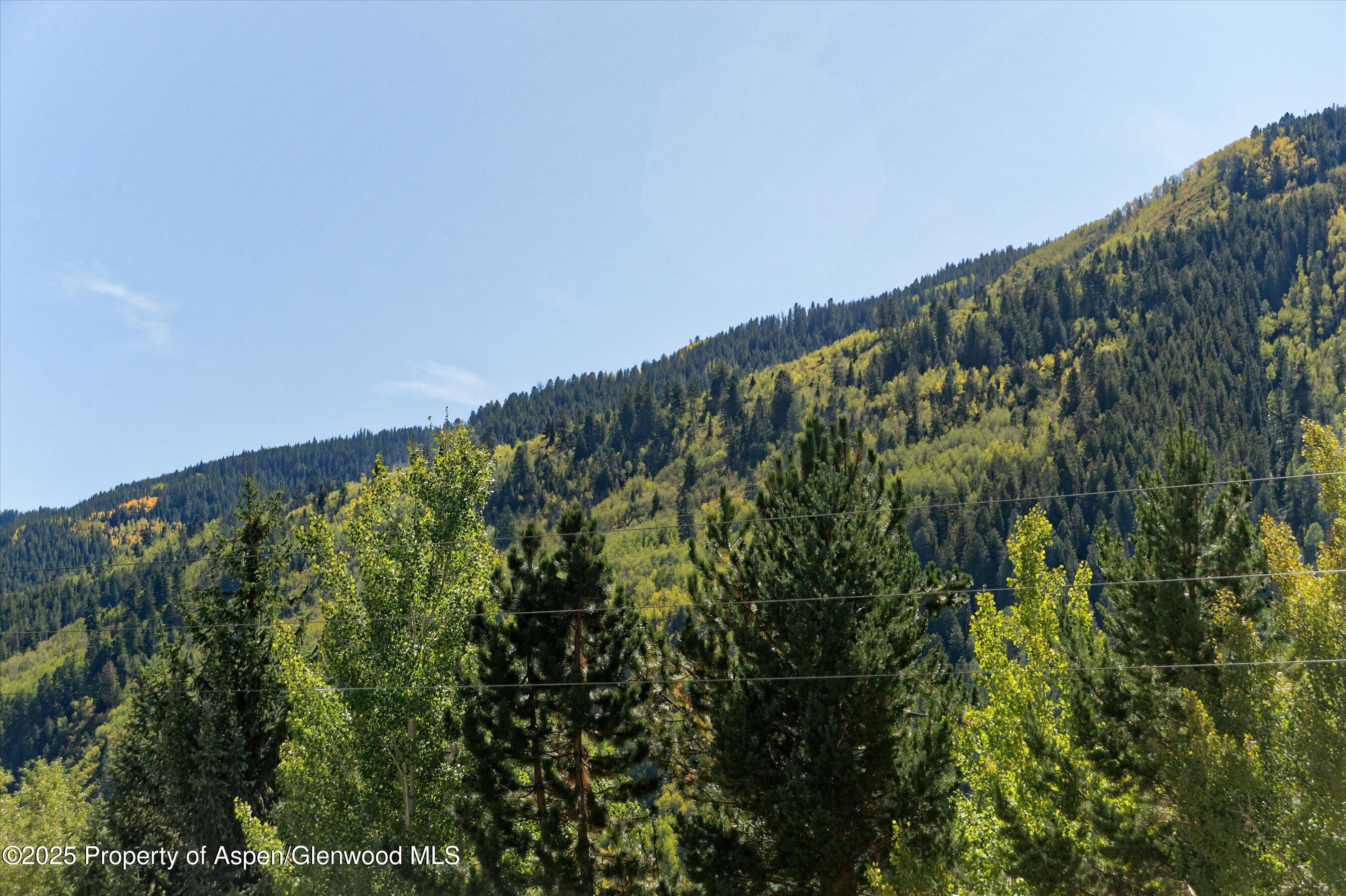 39 Roaring Fork Drive Property Photo 6