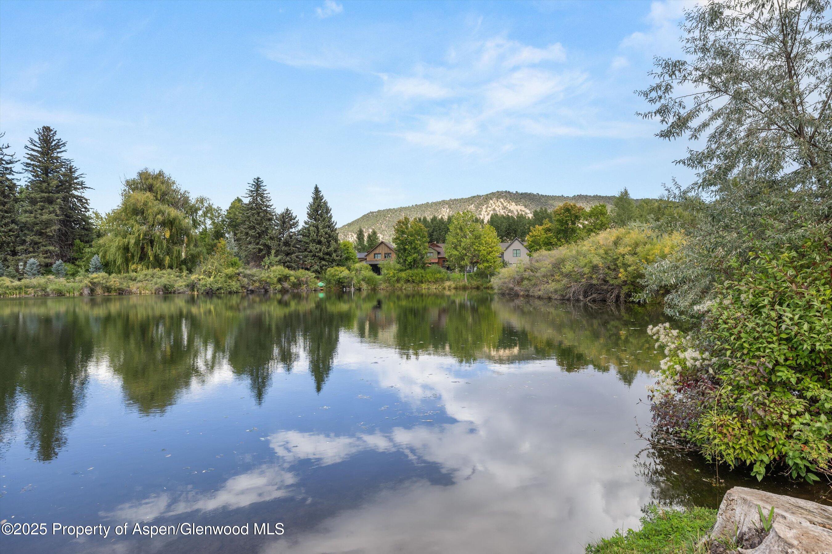 41 Choke Cherry Court Property Photo 33