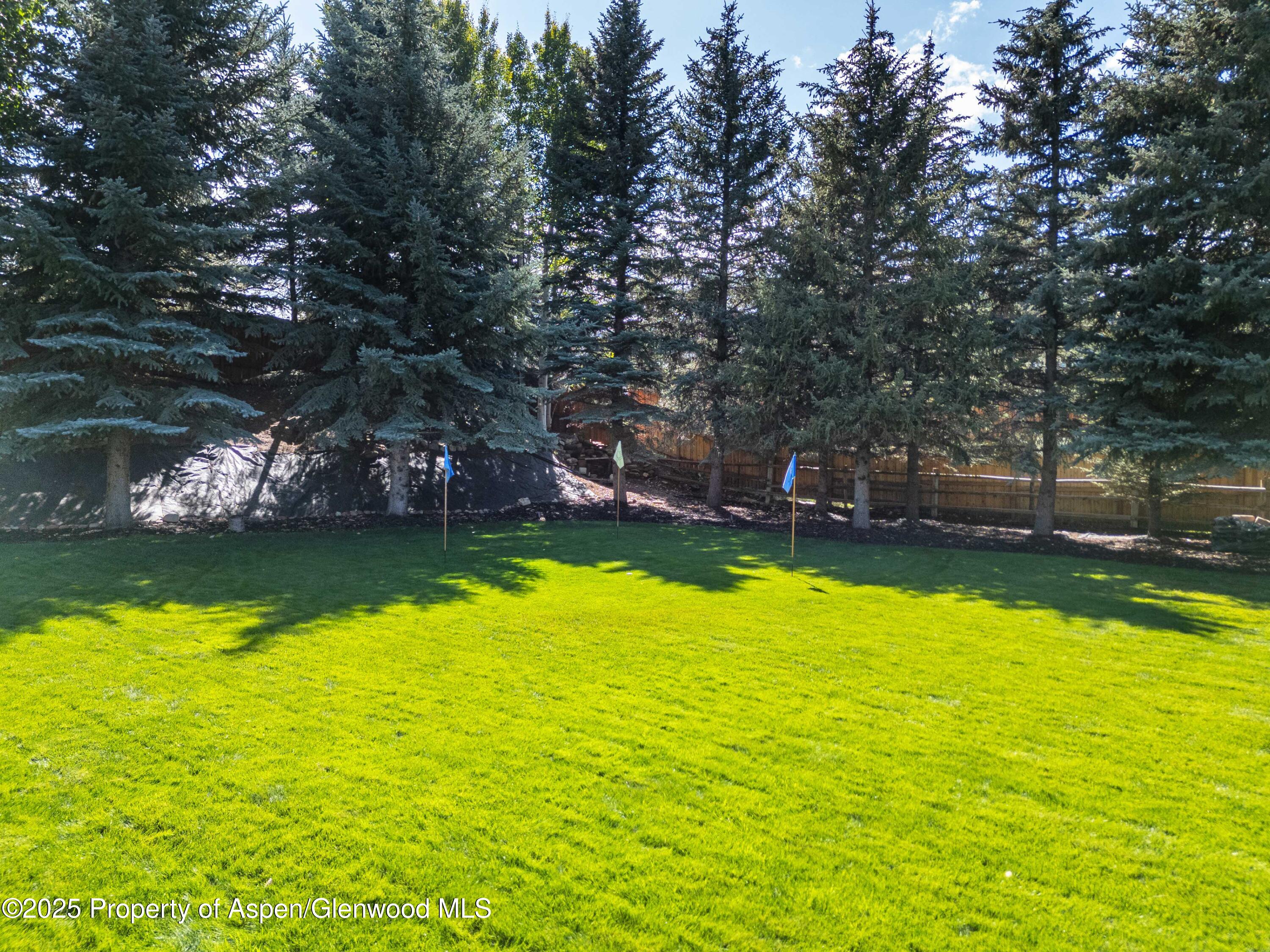 1637 Emma Spur Road Property Photo 47